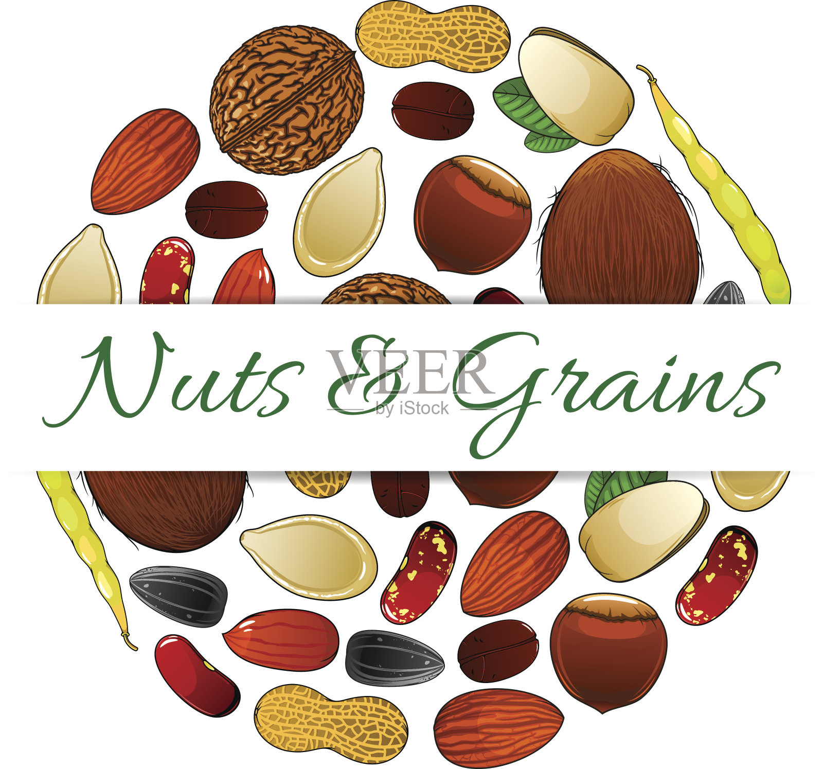 营养坚果和谷物元素载体标签插画图片素材