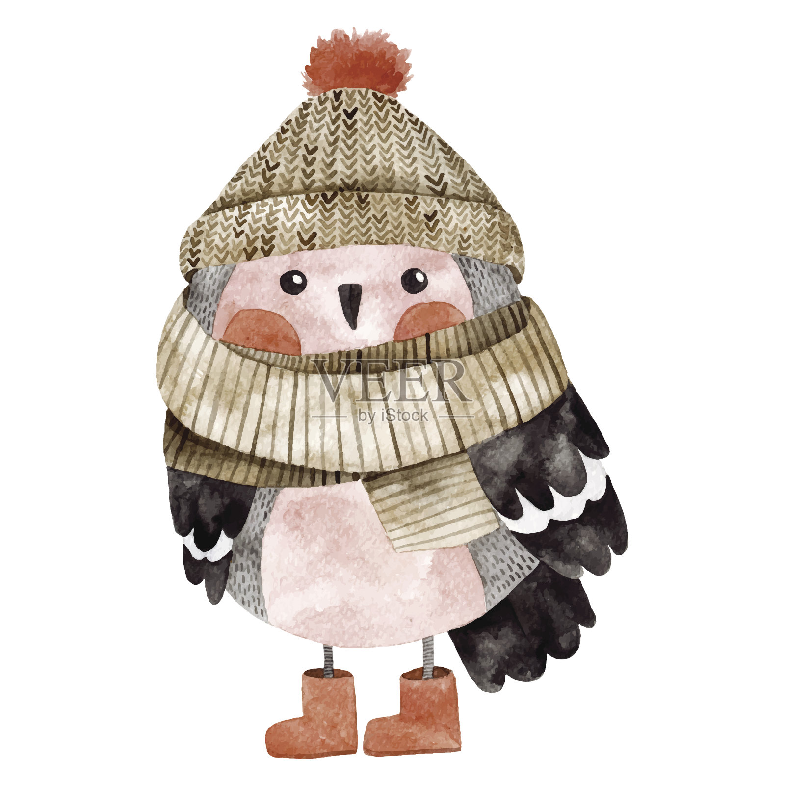 可爱的红腹灰雀，戴着冬帽和围巾插画图片素材
