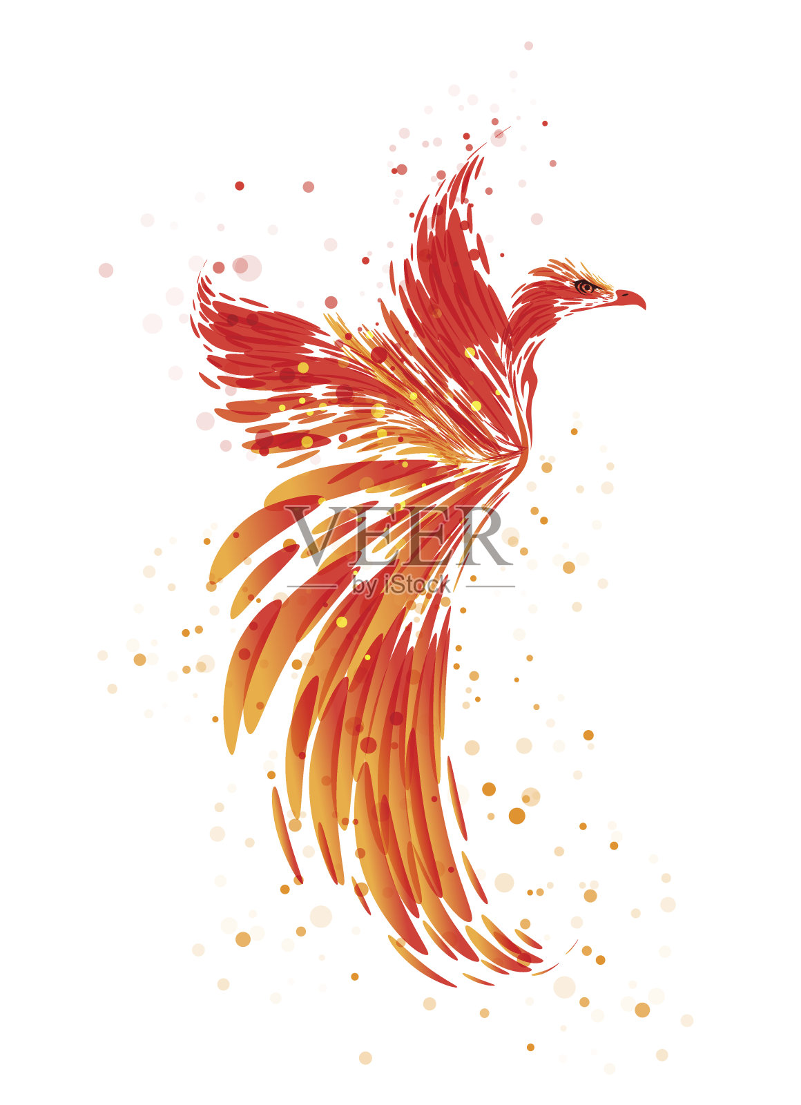 凤凰-神话中的鸟在白色插画图片素材