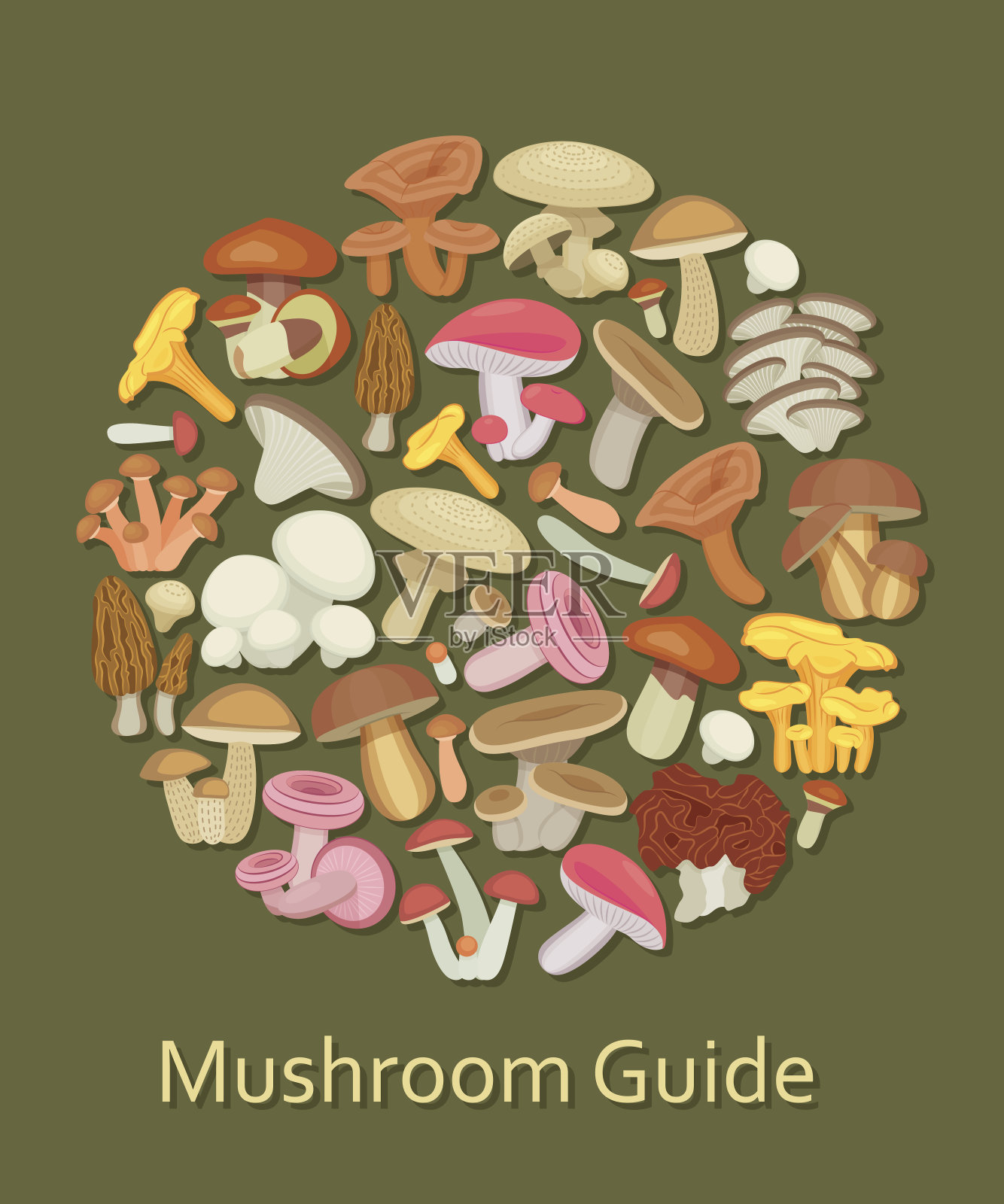 可食用的蘑菇集插画图片素材