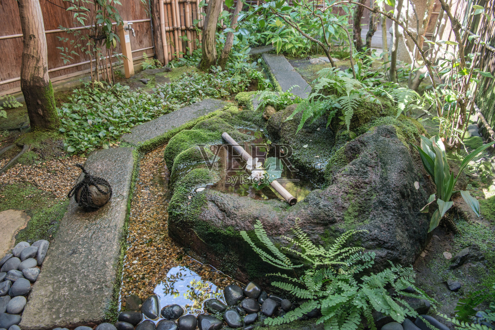 美丽的日本景点花园照片摄影图片