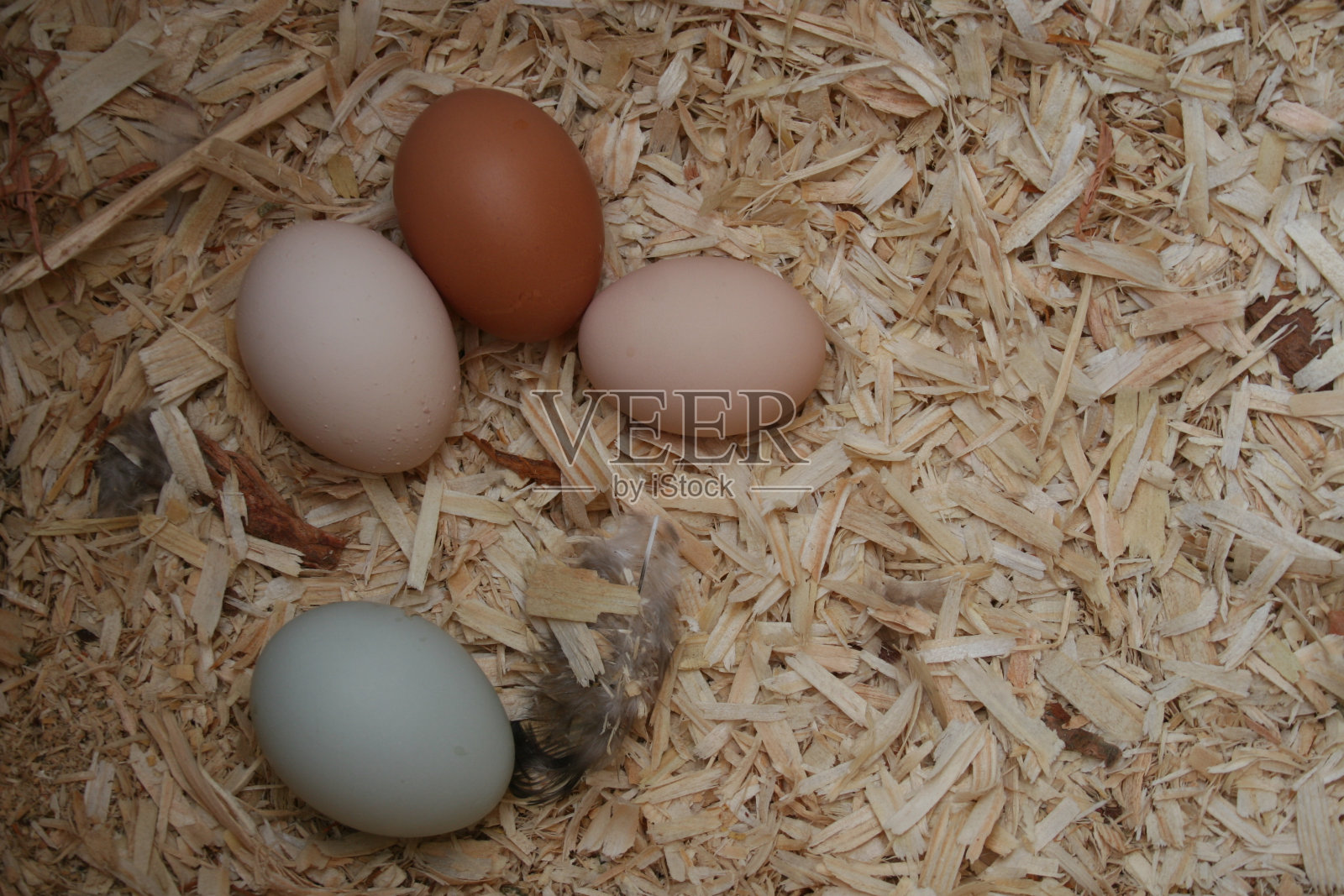 四个天然颜色的鸡蛋照片摄影图片