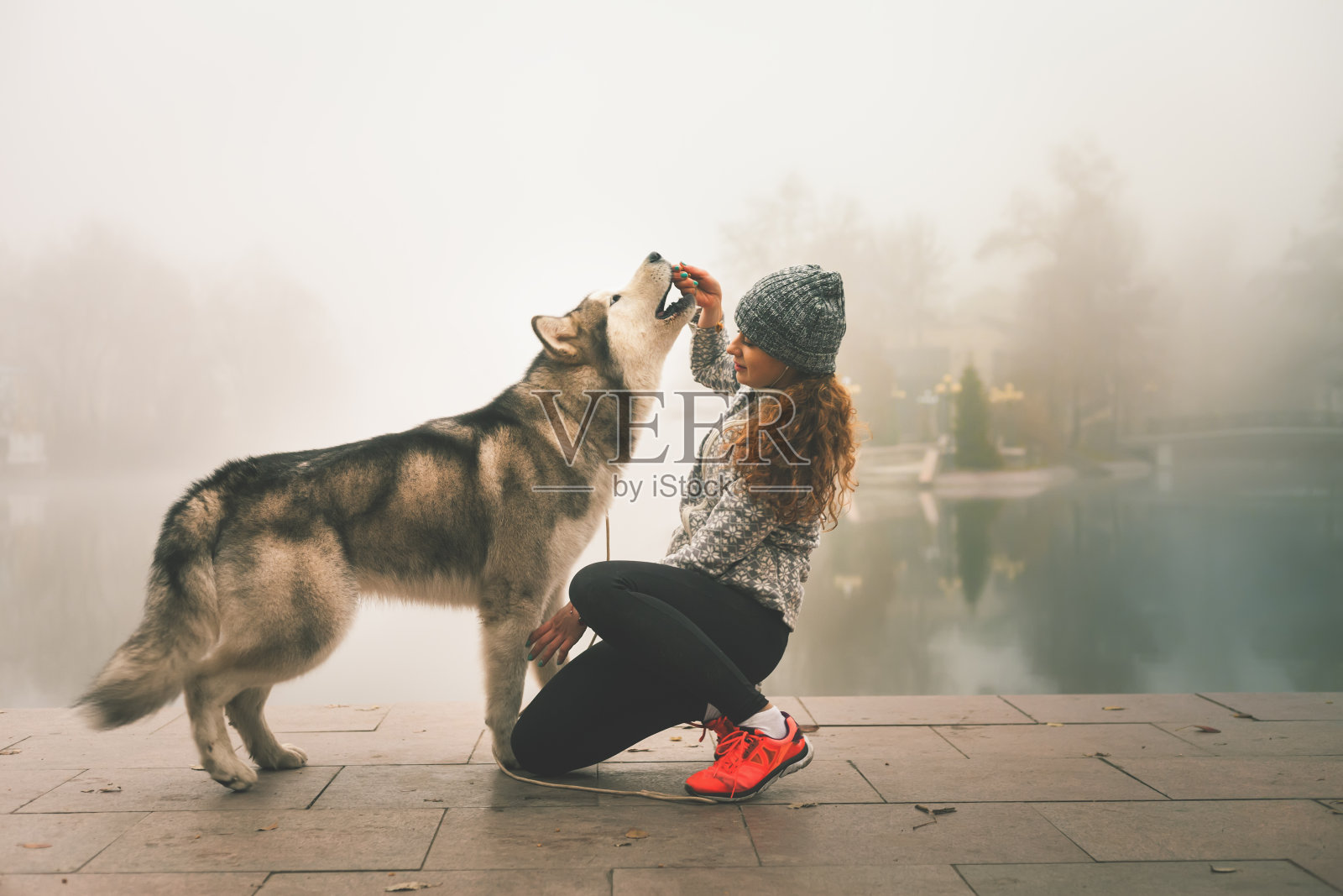 小女孩和她的狗，阿拉斯加雪橇犬，户外的形象照片摄影图片