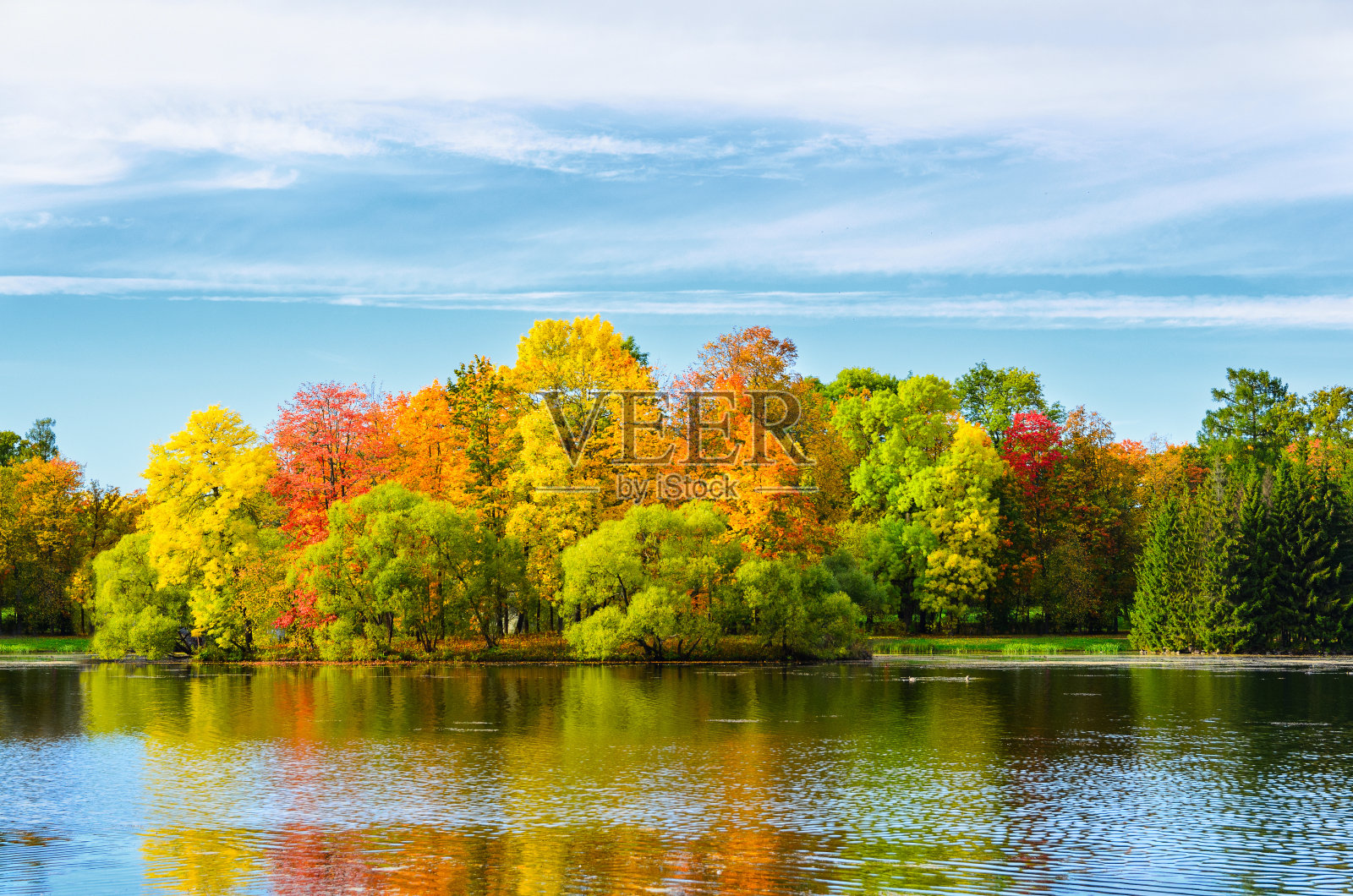 丰富多彩的秋天的公园照片摄影图片