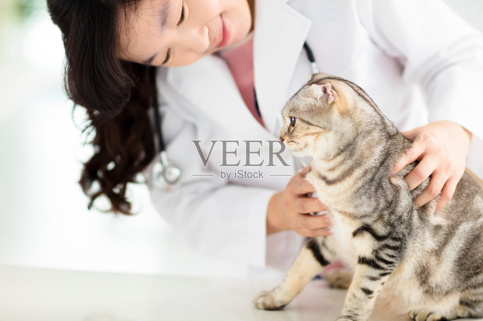 女兽医医生与猫照片摄影图片