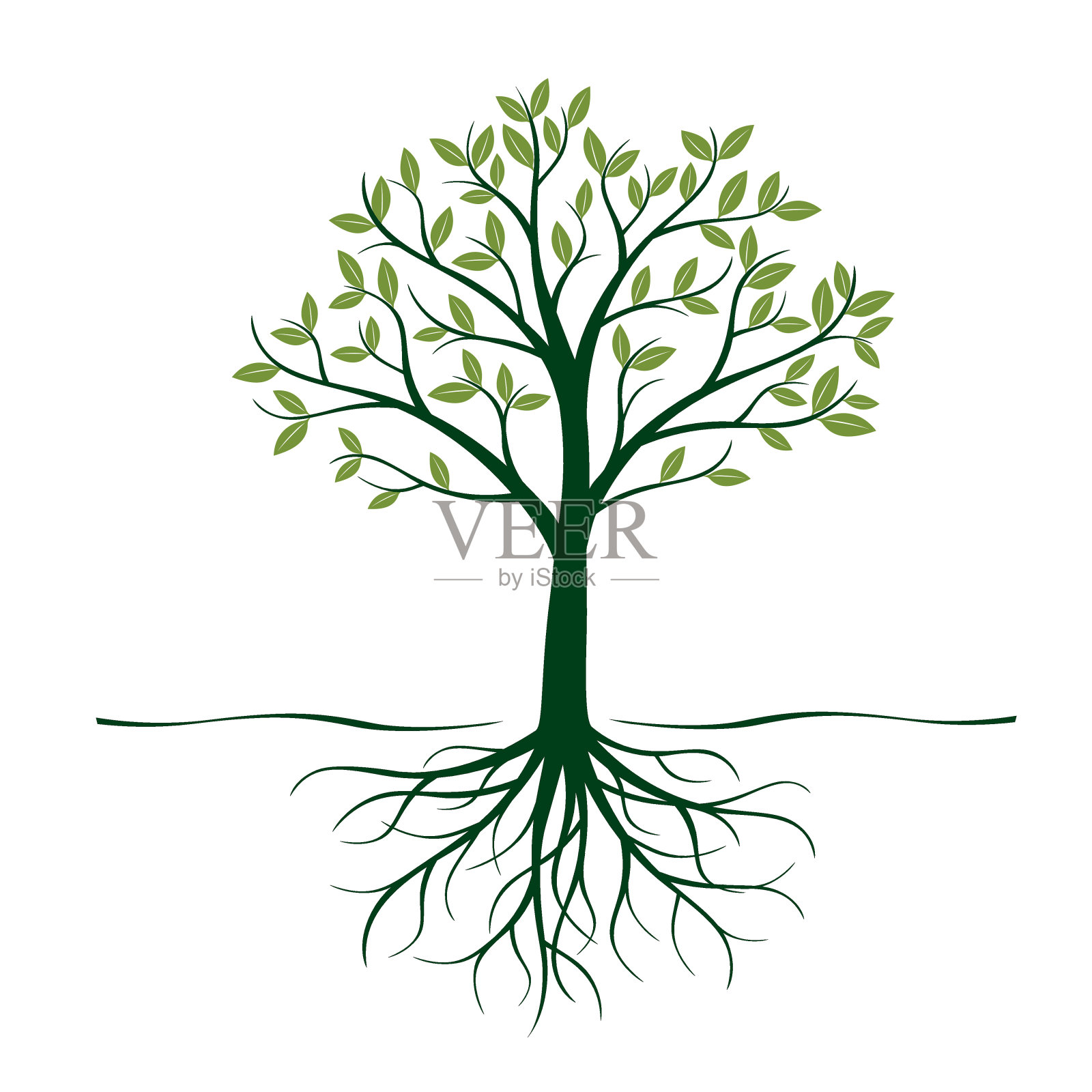 绿色的树与根和叶。矢量插图。设计元素图片