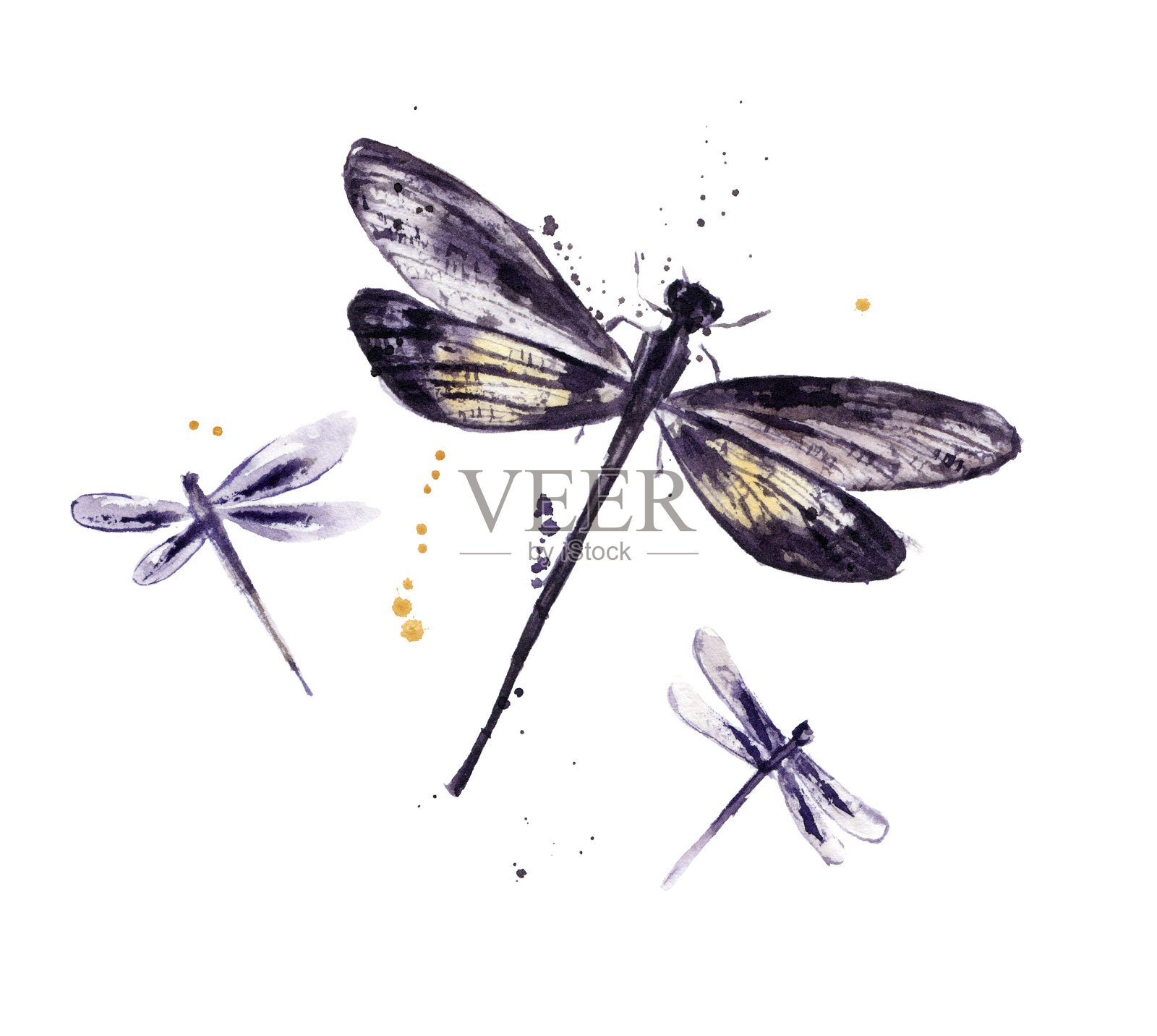 一套蜻蜓水彩画插画图片素材