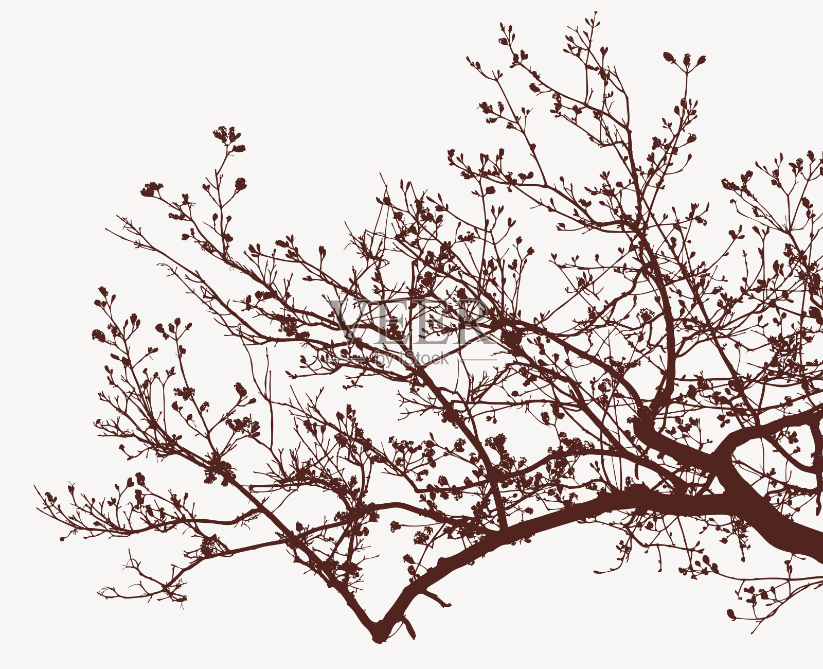 开花树的树枝设计元素图片