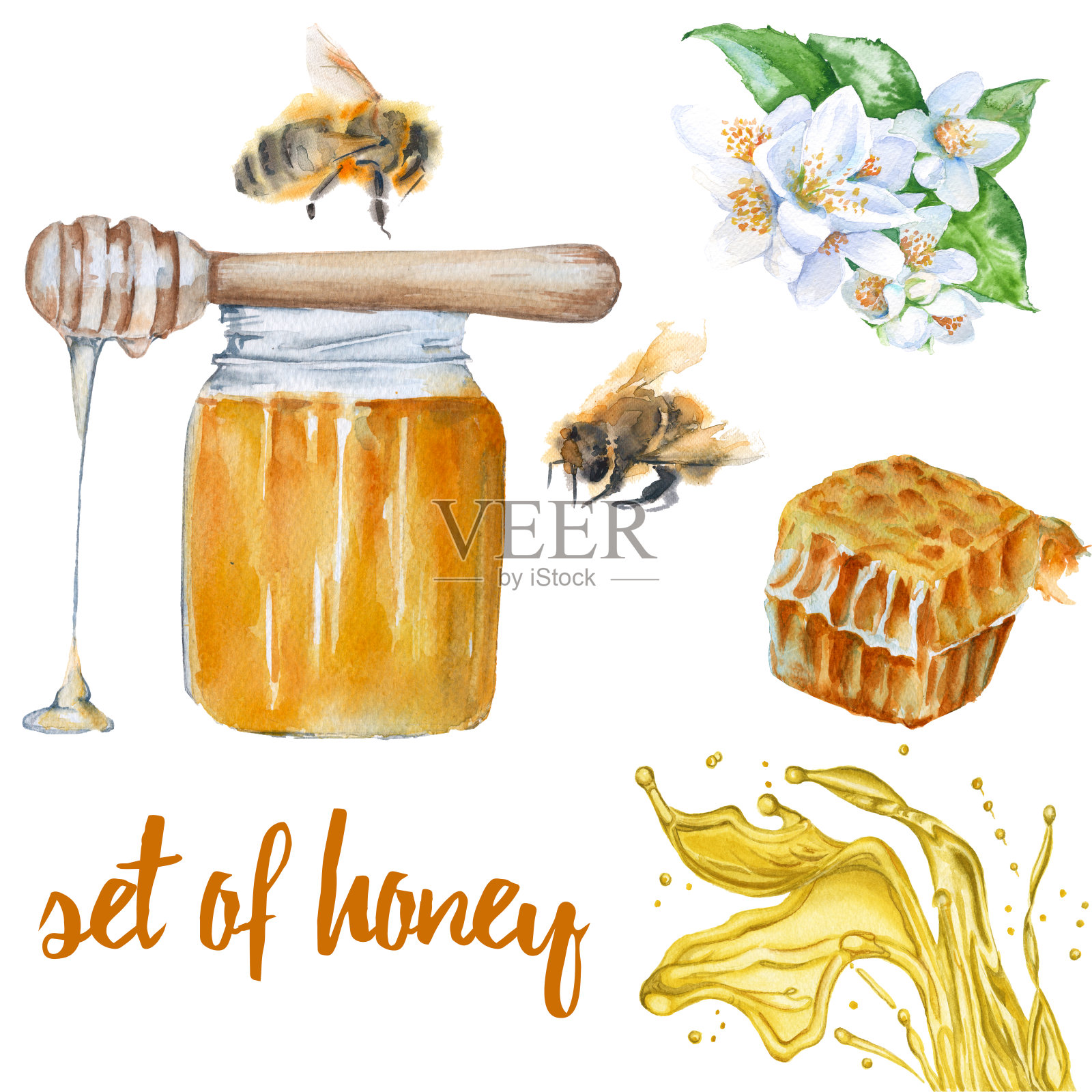 蜂蜜。银行与蜂蜜，蜂房，蜜蜂，花。插画图片素材