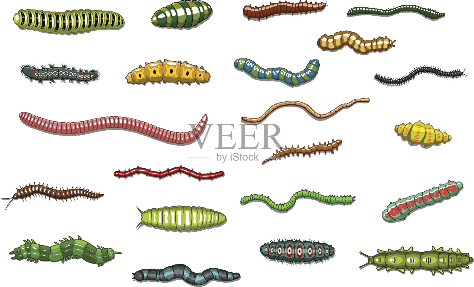 爬行的毛毛虫和蠕虫卡通风格插画图片素材