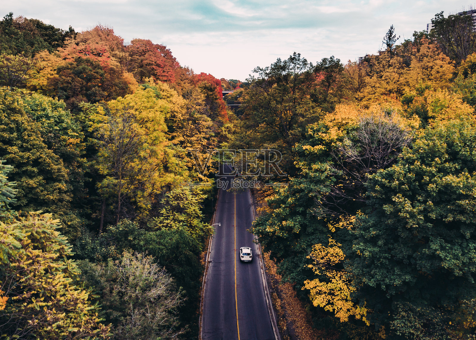 秋天加拿大缤纷的道路照片摄影图片