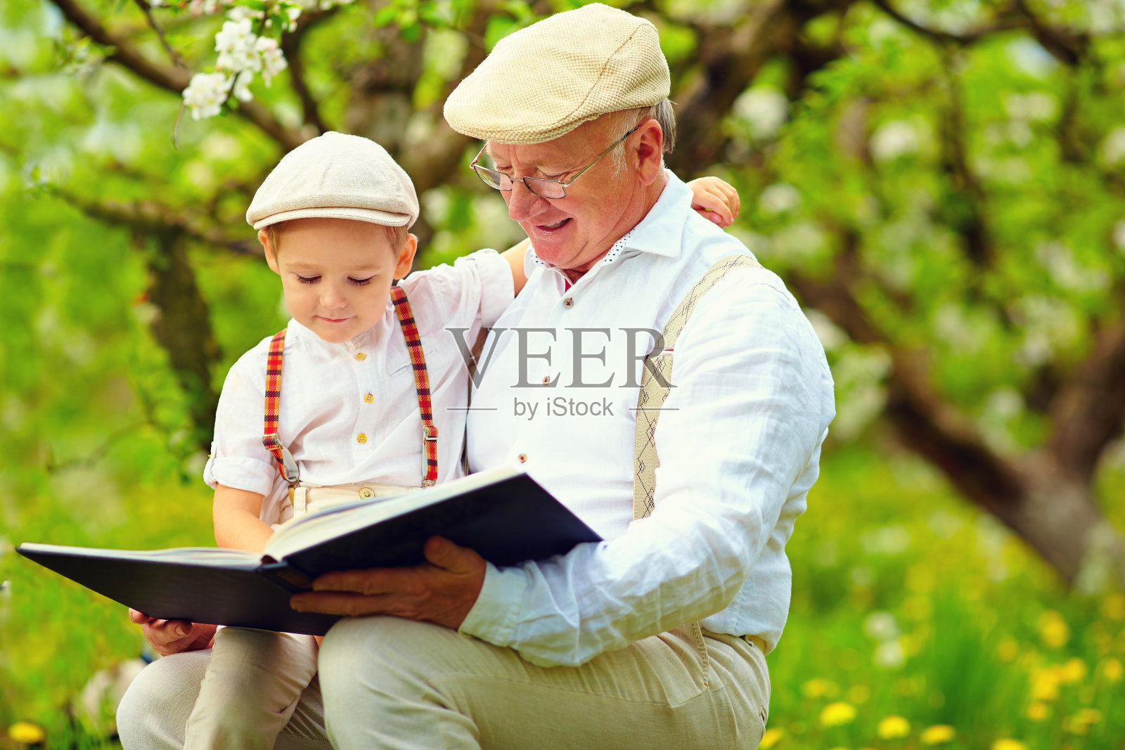 爷爷和孙子在春天的花园里看书照片摄影图片
