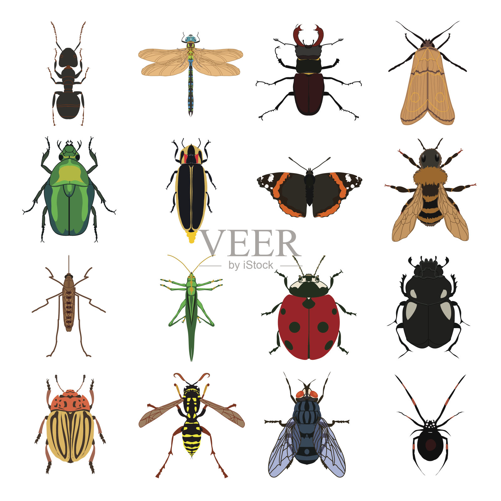 昆虫向量组设计元素图片