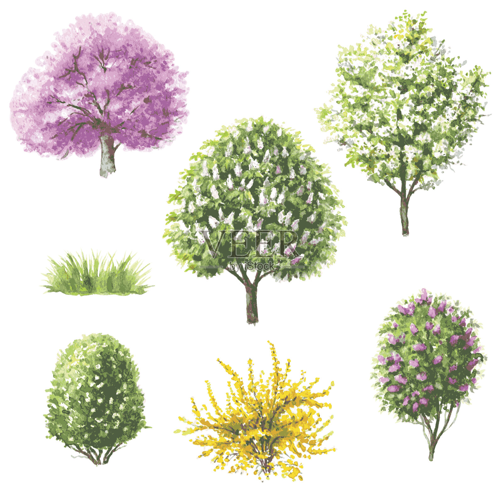 一组开花的树木和灌木。设计元素图片
