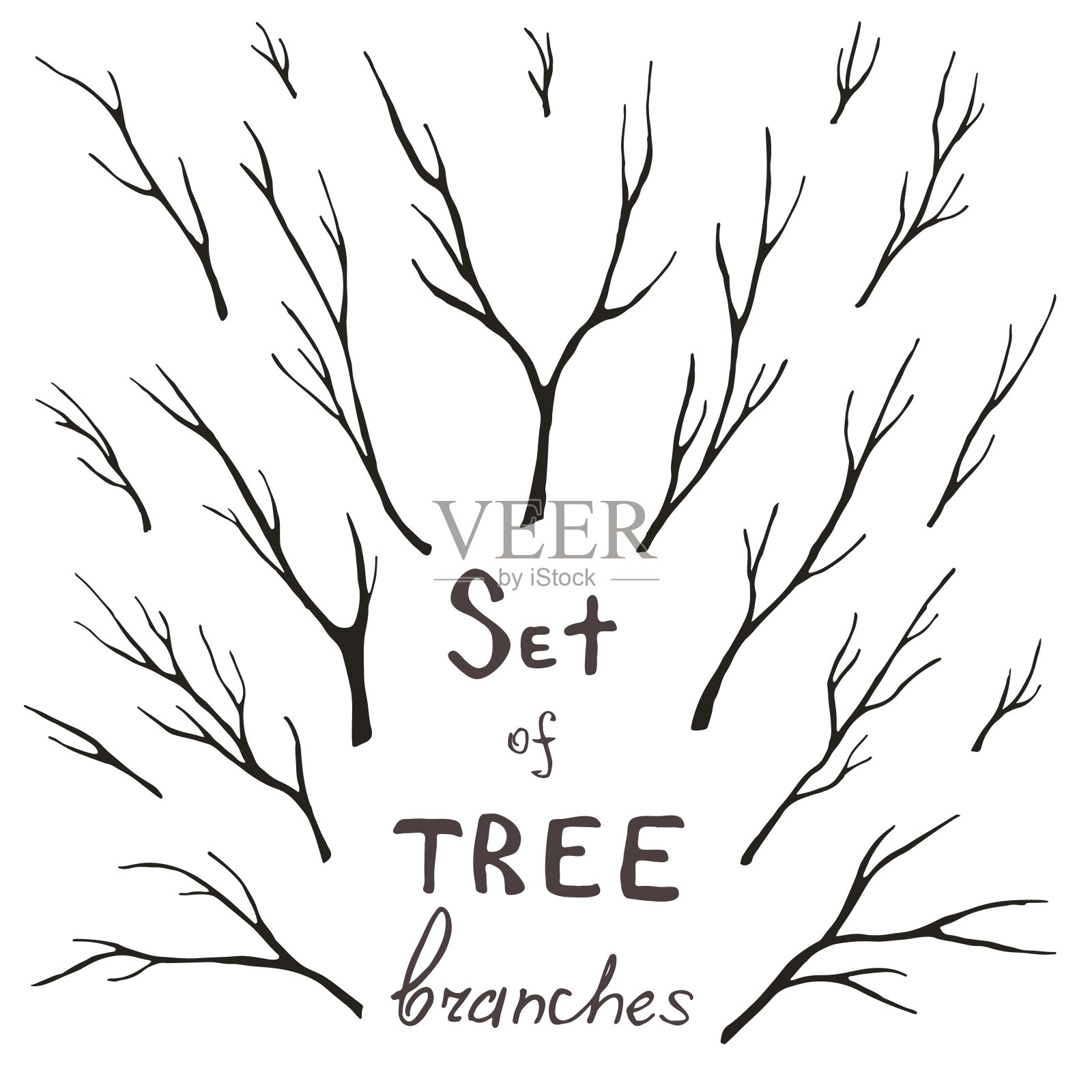向量集的树枝，树干，小枝，茎插画图片素材