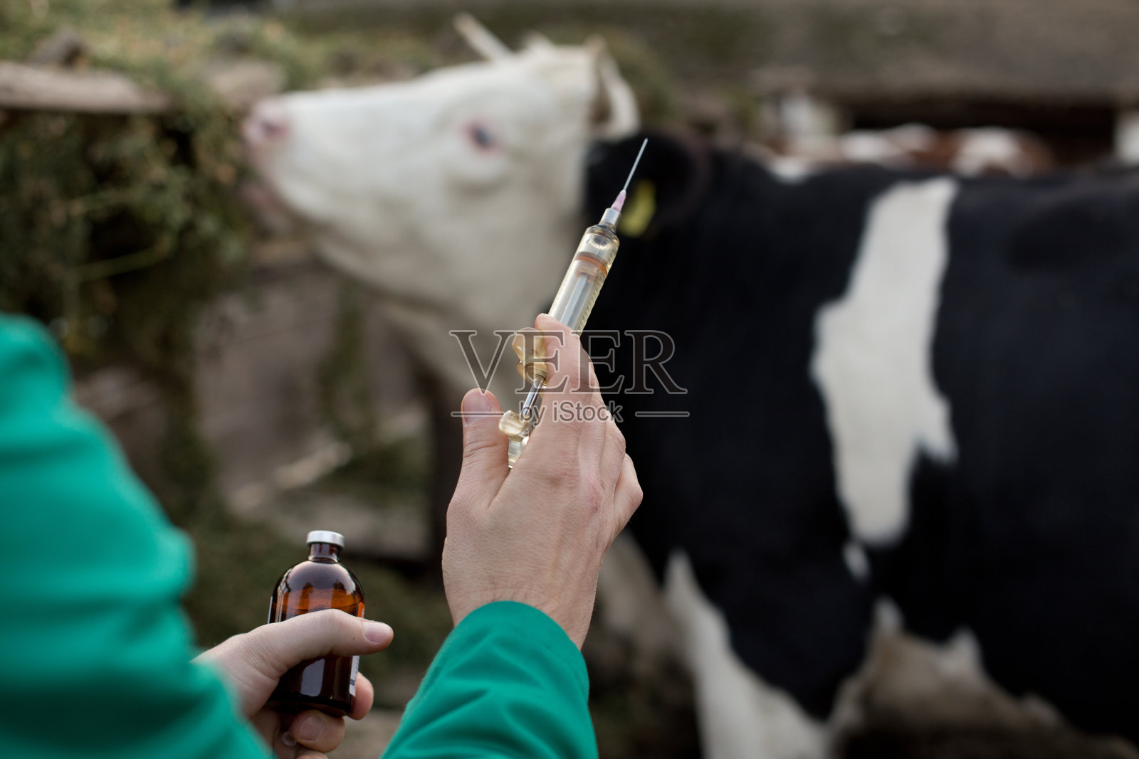 兽医与注射器在农场照片摄影图片