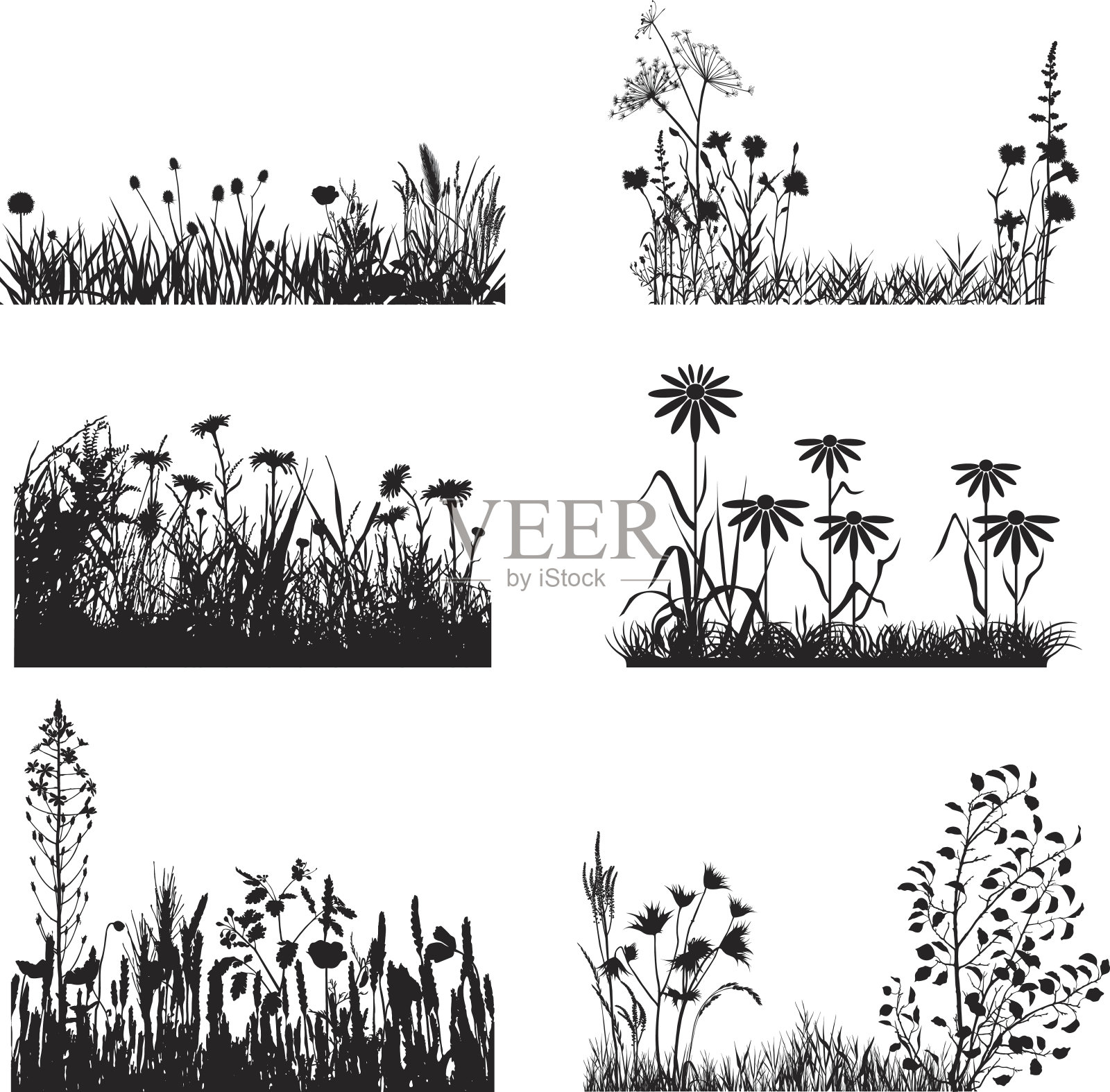 草甸植物组插画图片素材