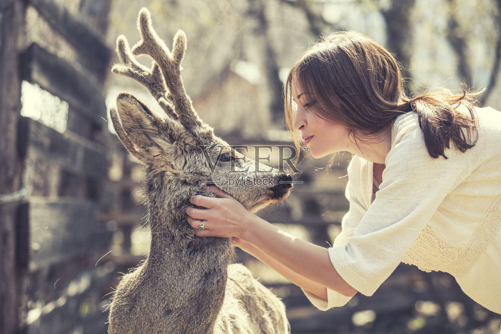 年轻美丽的女人拥抱动物狍在阳光下照片摄影图片
