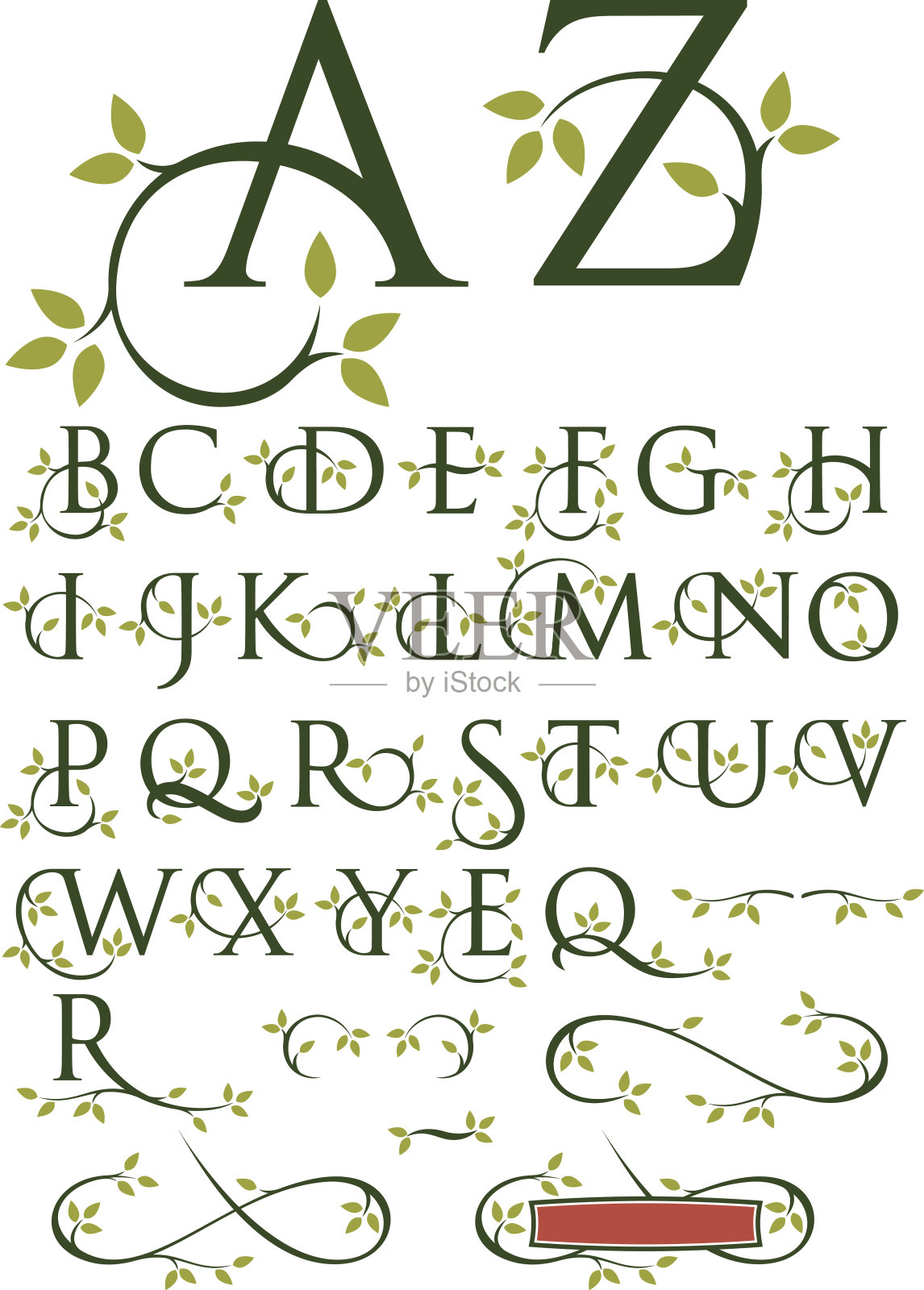 华丽的花式字母与树叶插画图片素材