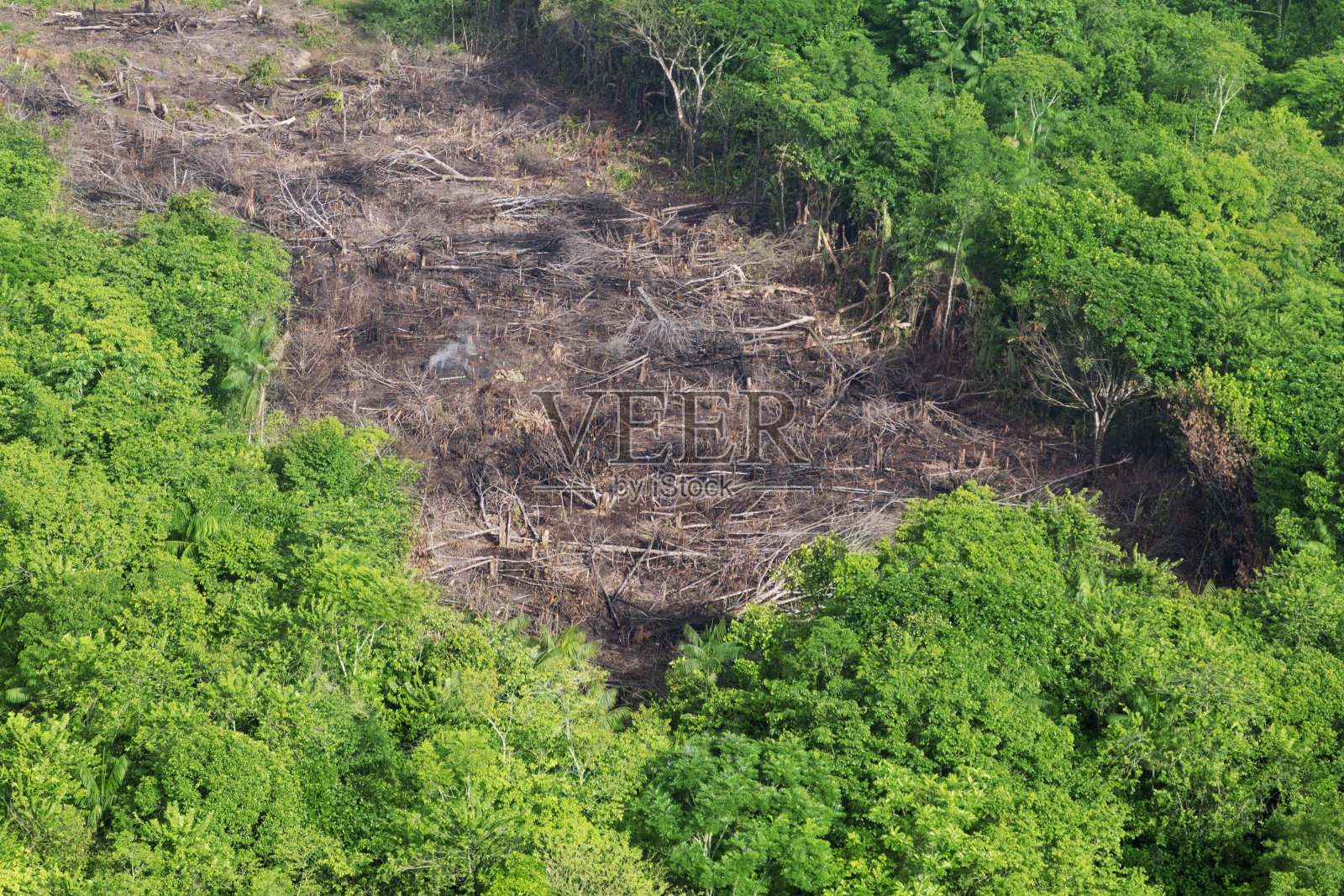 亚马逊的森林砍伐照片摄影图片