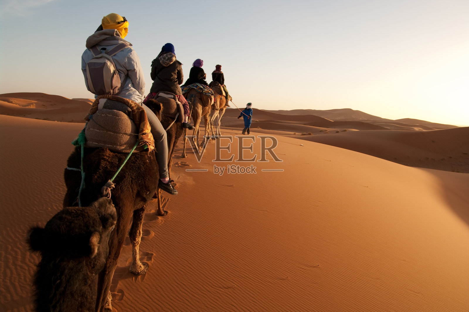 在撒哈拉沙漠的骆驼列车上，导游带领游客照片摄影图片