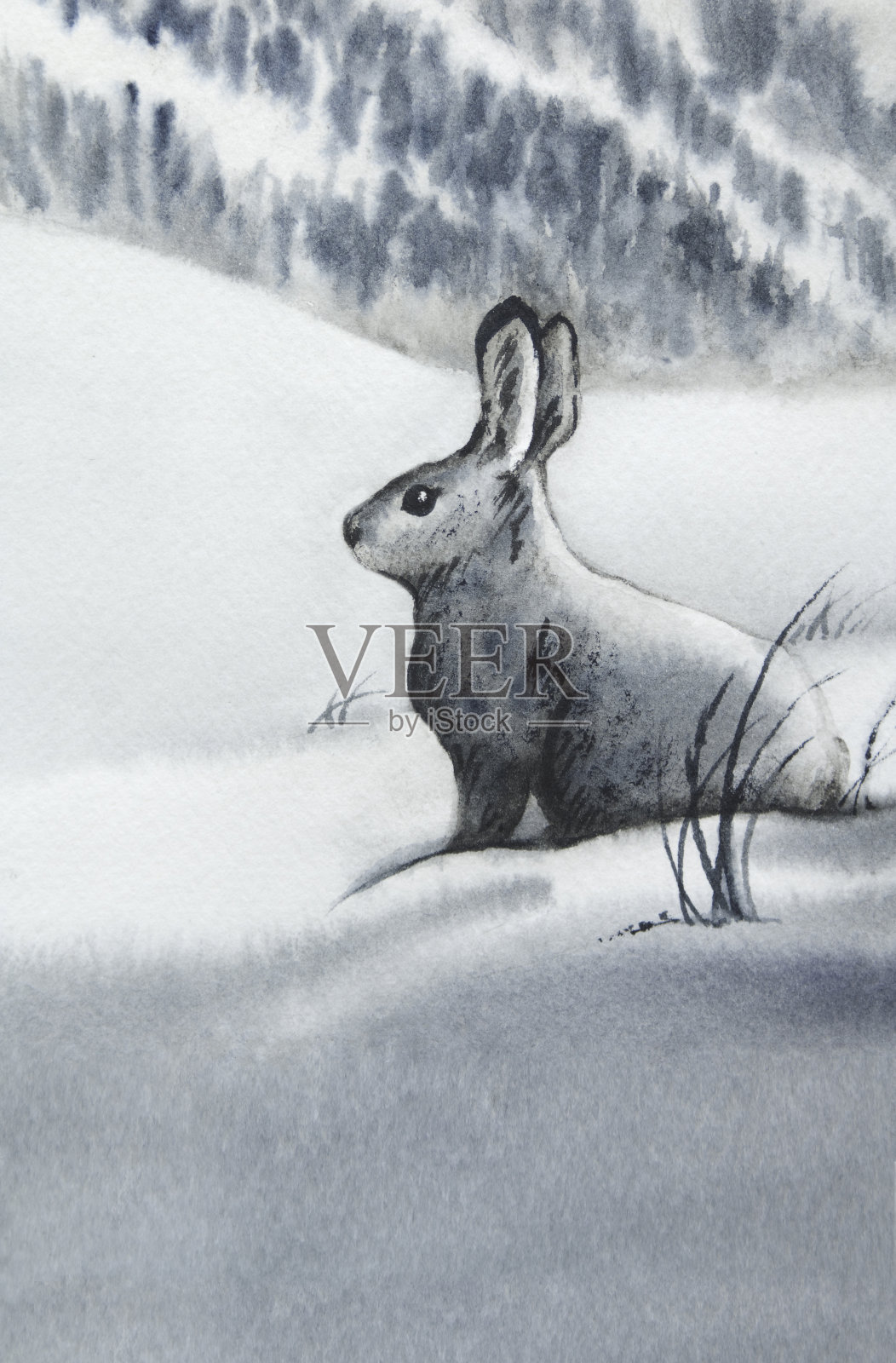 雪兔插画图片素材