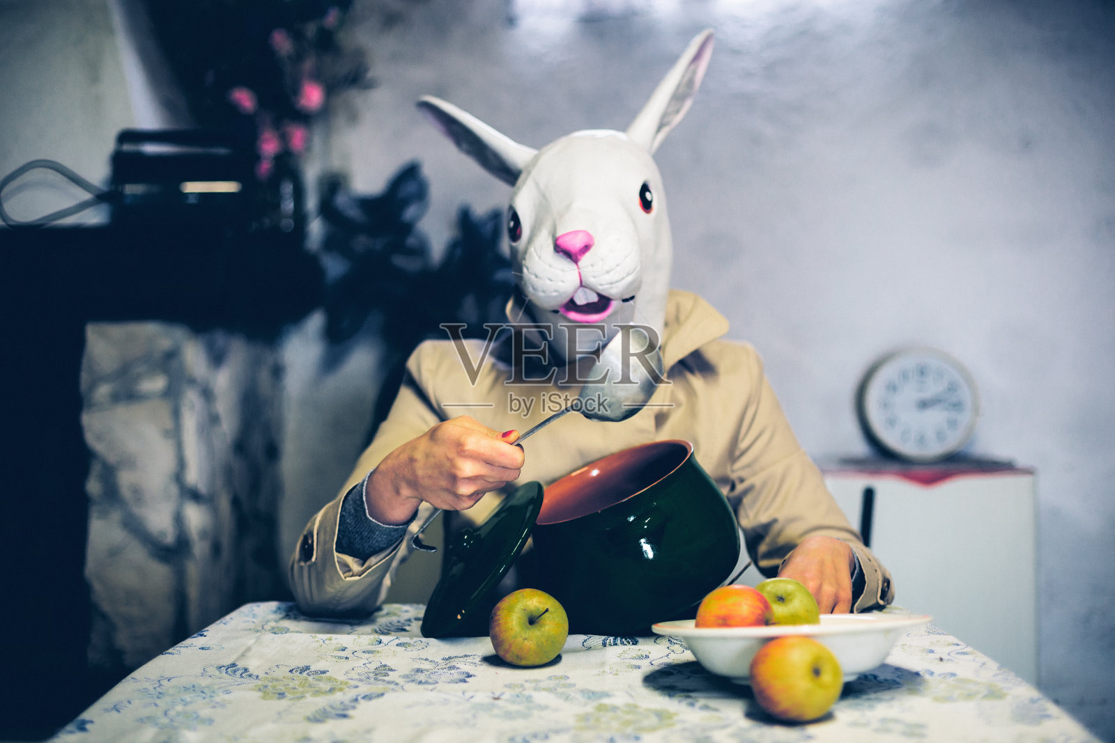 兔子吃午餐照片摄影图片