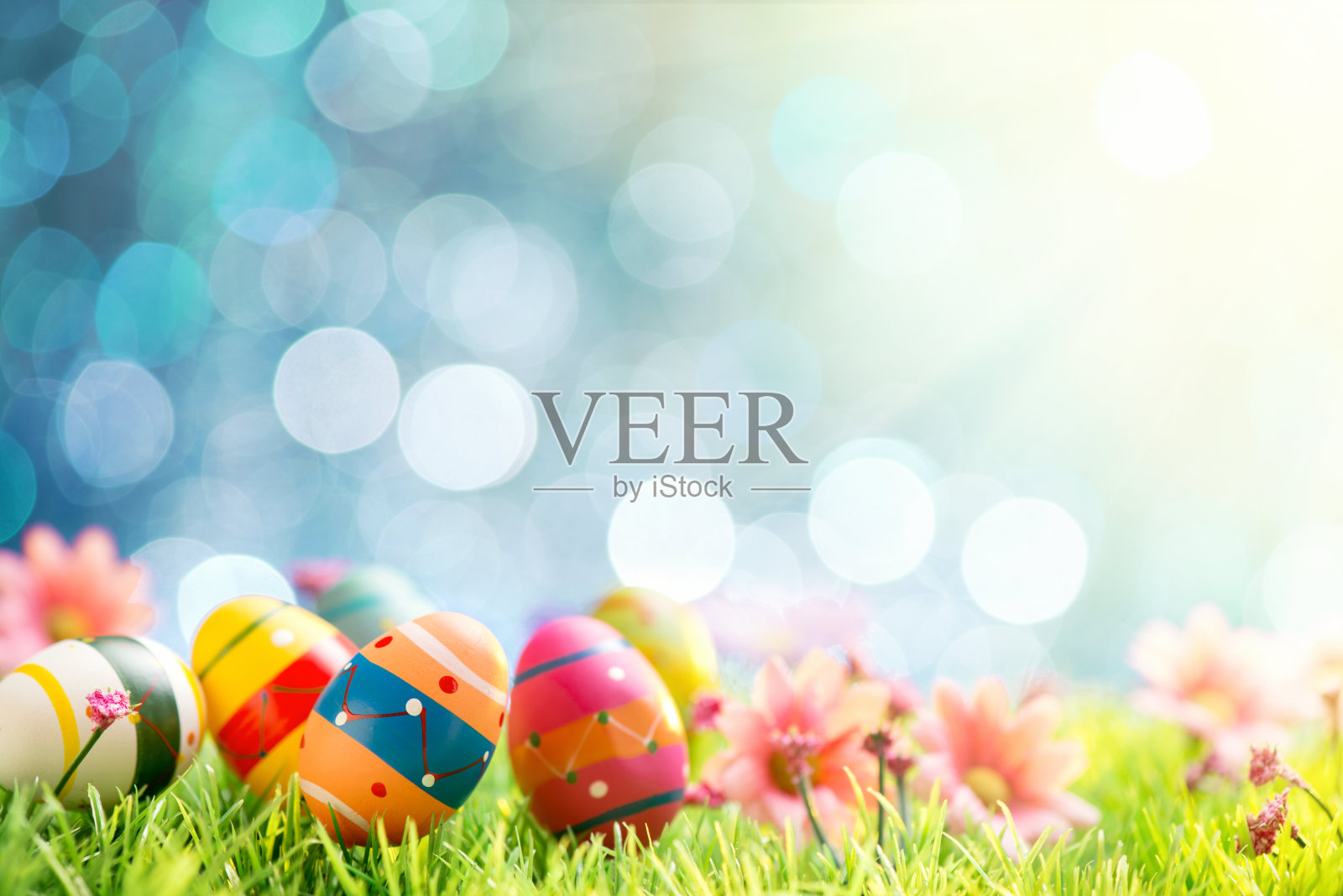 彩色的复活节彩蛋和花在照明的背景照片摄影图片