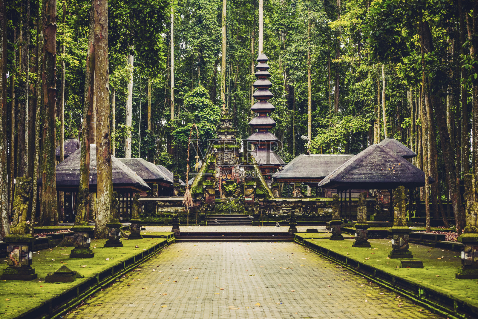 印度尼西亚巴厘岛乌布的圣猴森林保护区照片摄影图片