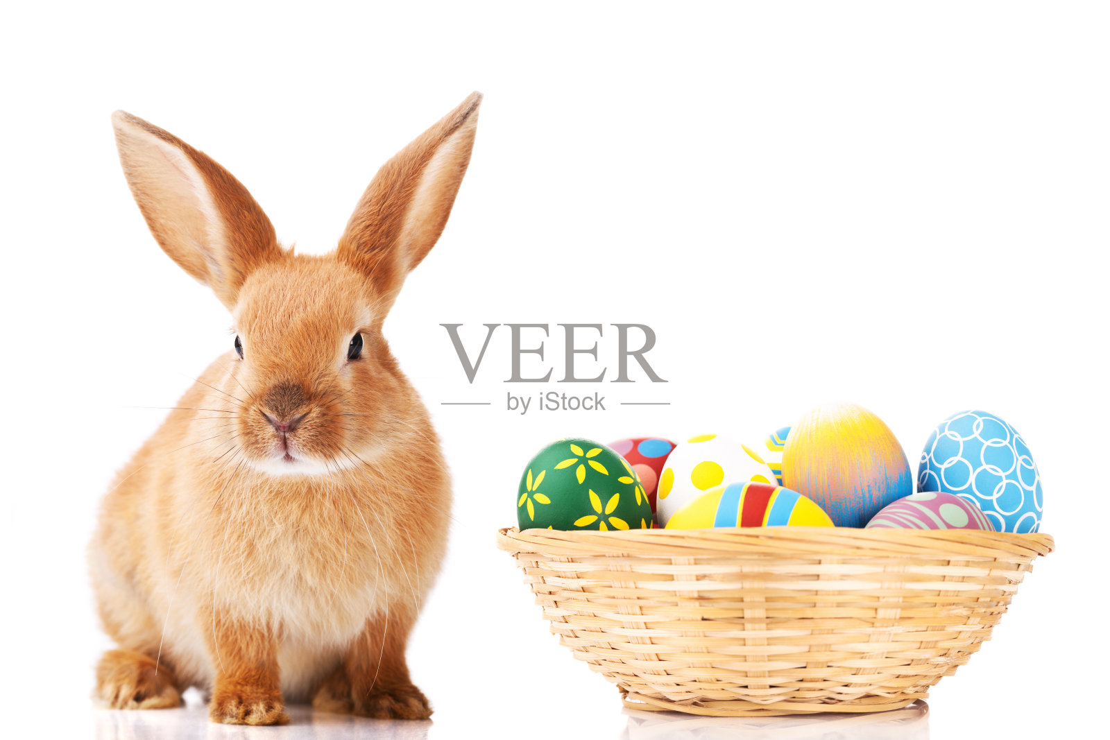 复活节兔子和彩蛋照片摄影图片
