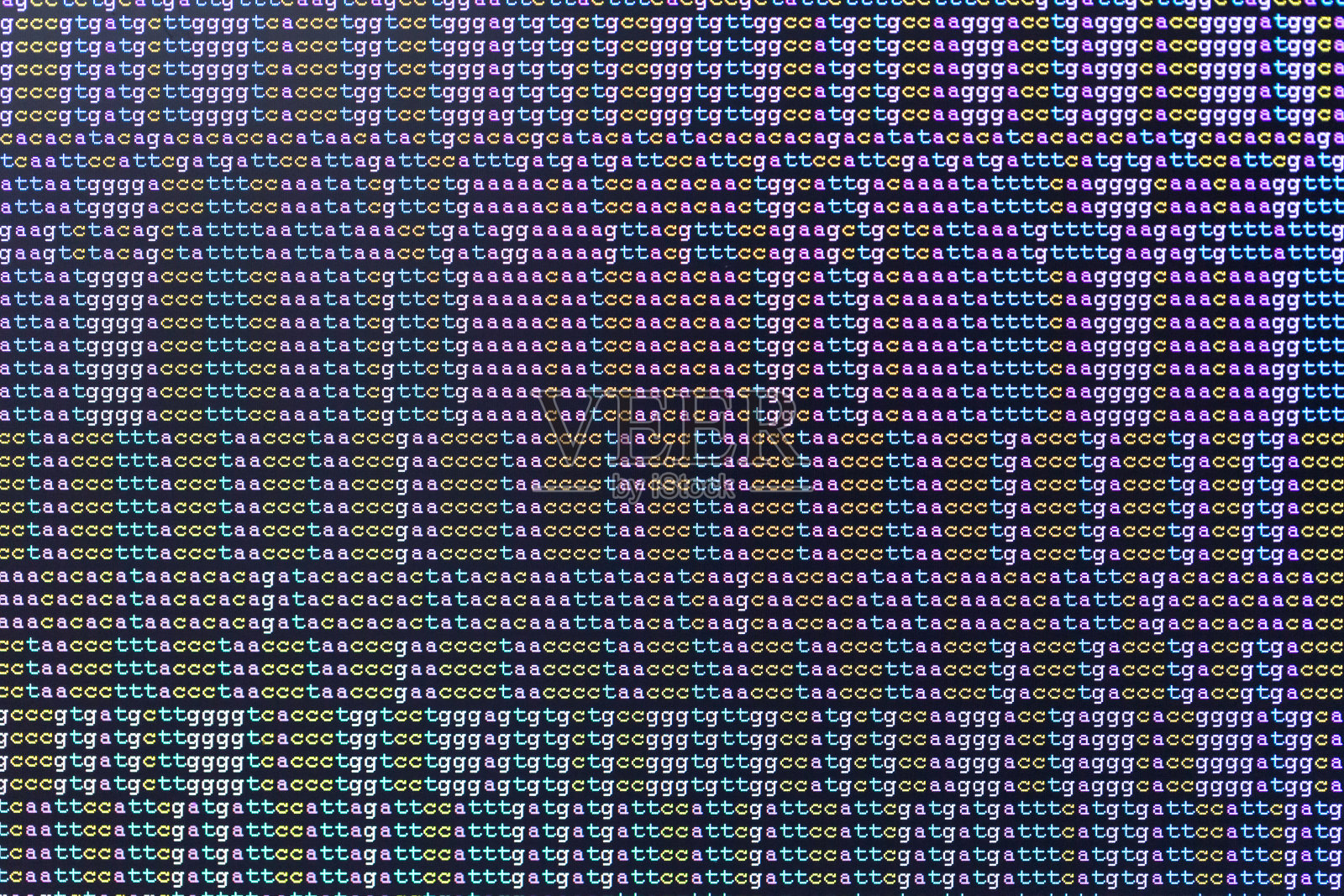 彩色编码DNA序列在监视器上照片摄影图片