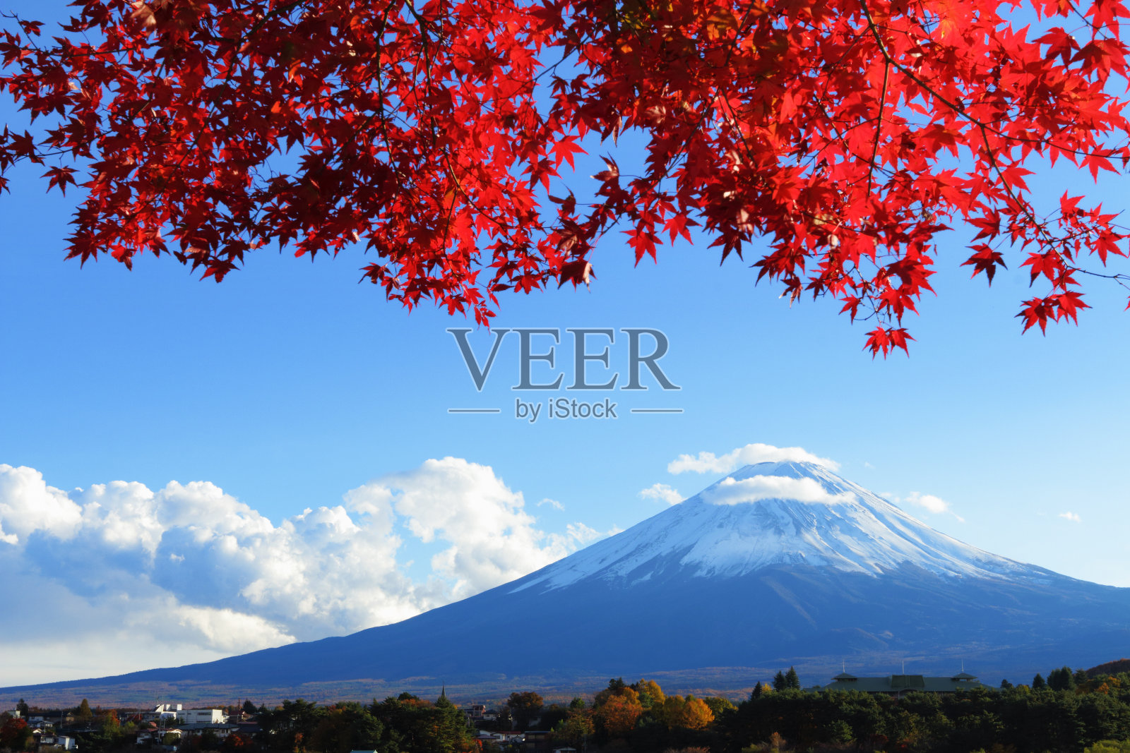 Mt.Fuji在秋天照片摄影图片