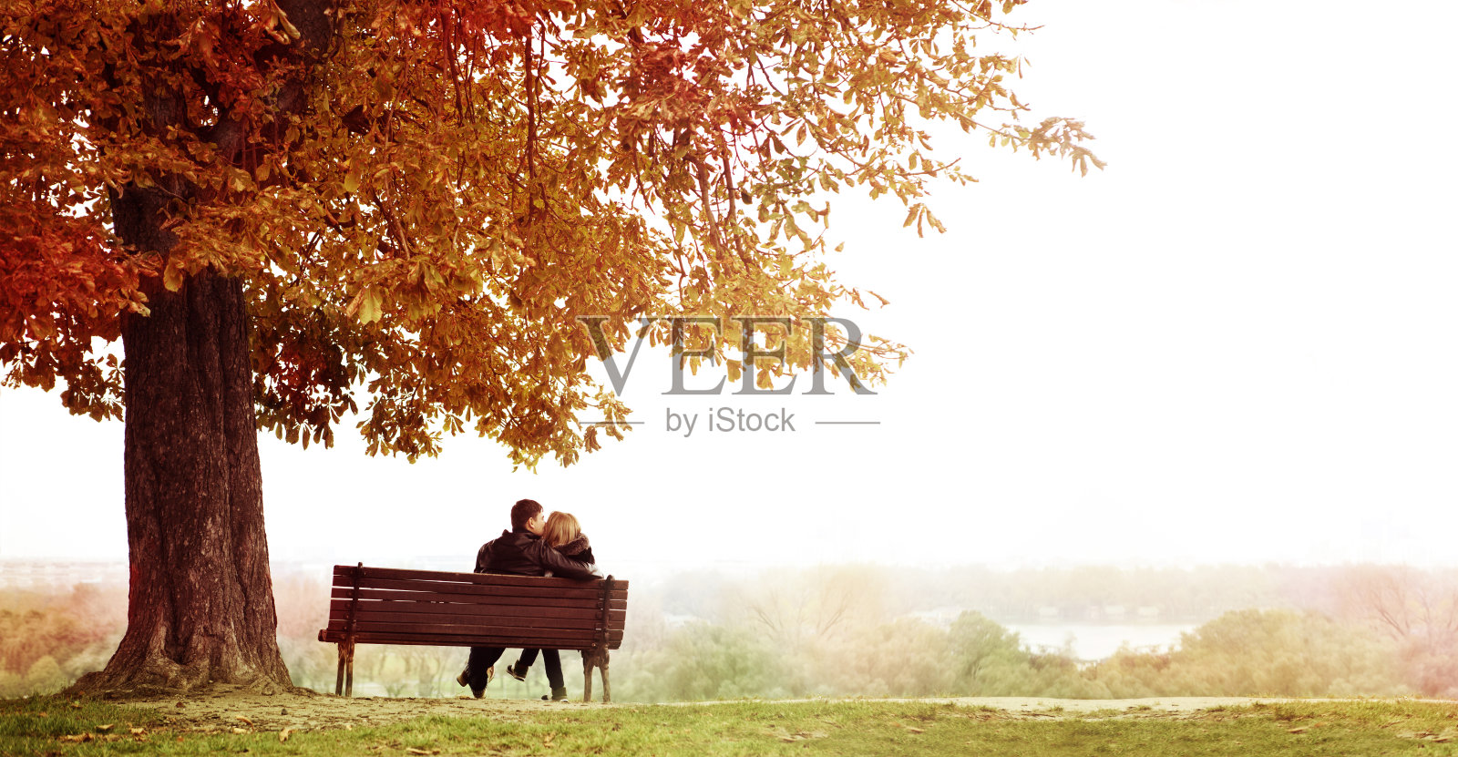 一对年轻的情侣在长凳上接吻在巨大的栗子下。照片摄影图片
