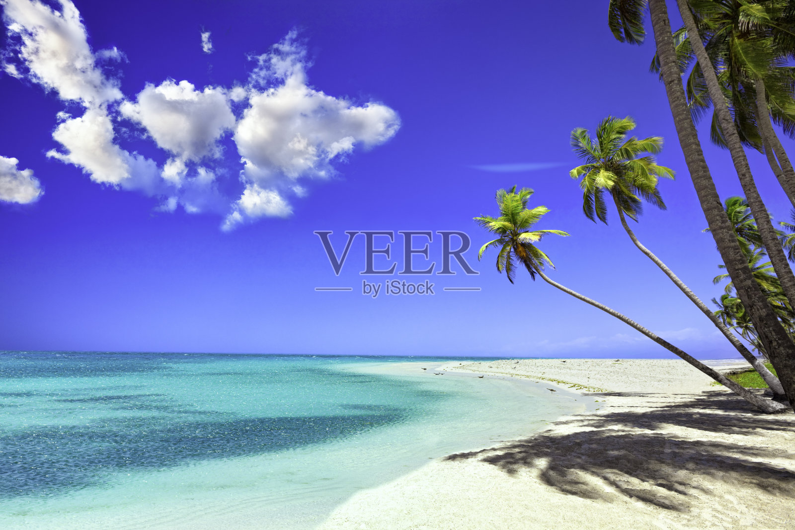 加勒比海岛屿上的热带白色沙滩，有椰子树照片摄影图片