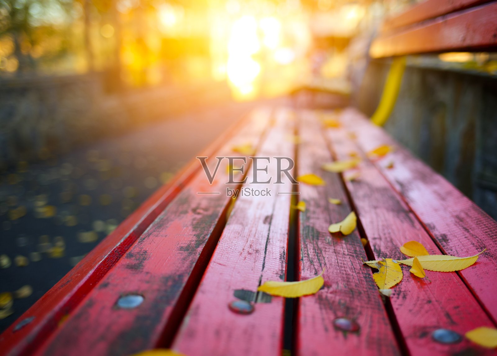 秋天的树叶落在公园的长凳上照片摄影图片