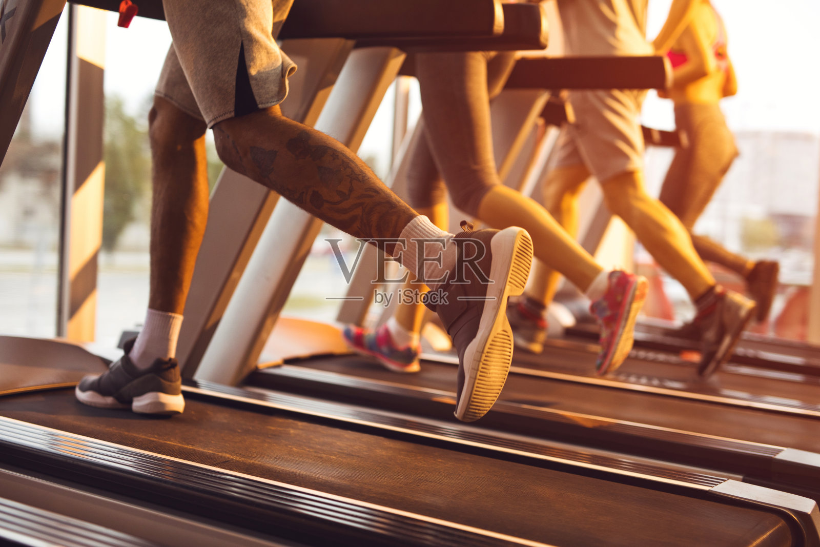 一群不知名的运动员在健身房里的跑步机上慢跑。照片摄影图片