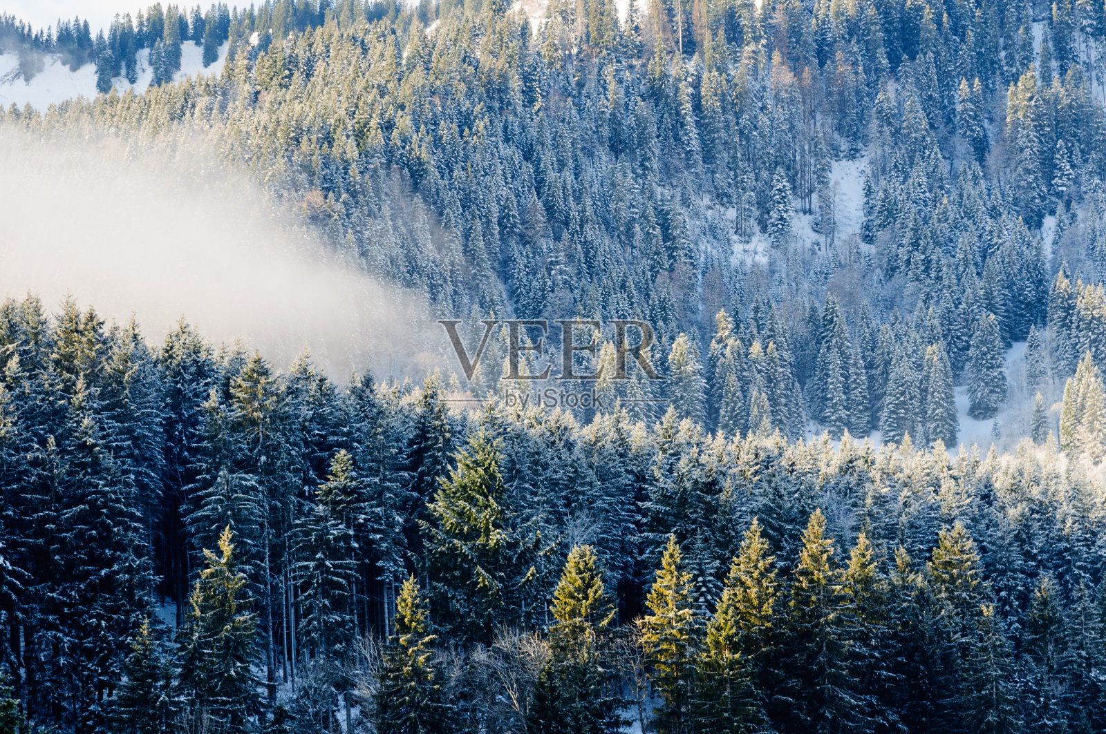 云在德国上巴伐利亚的冰冻森林上滚动照片摄影图片
