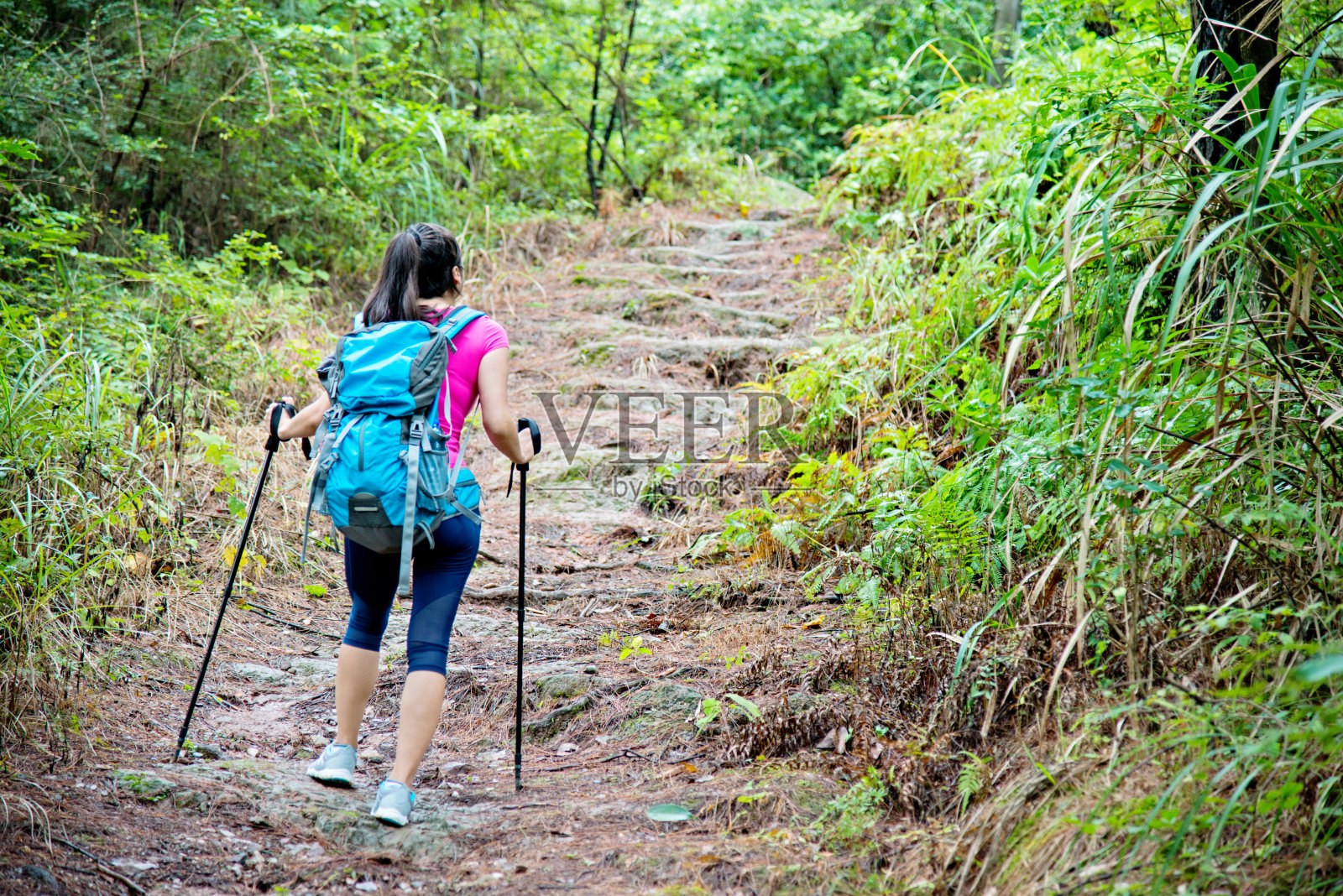 在树林里背着背包的年轻女性徒步旅行者照片摄影图片