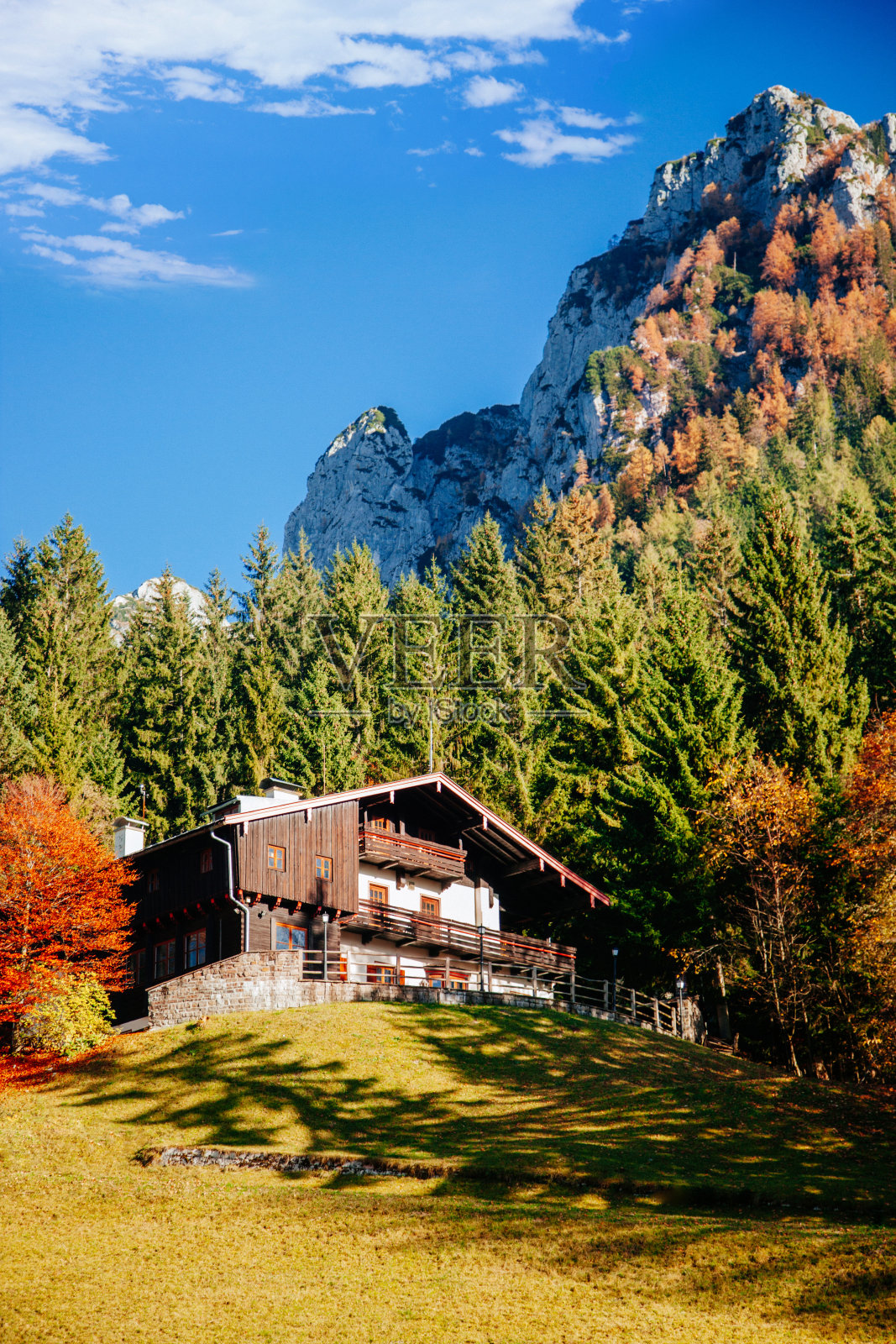阿尔卑斯山的传统房屋照片摄影图片