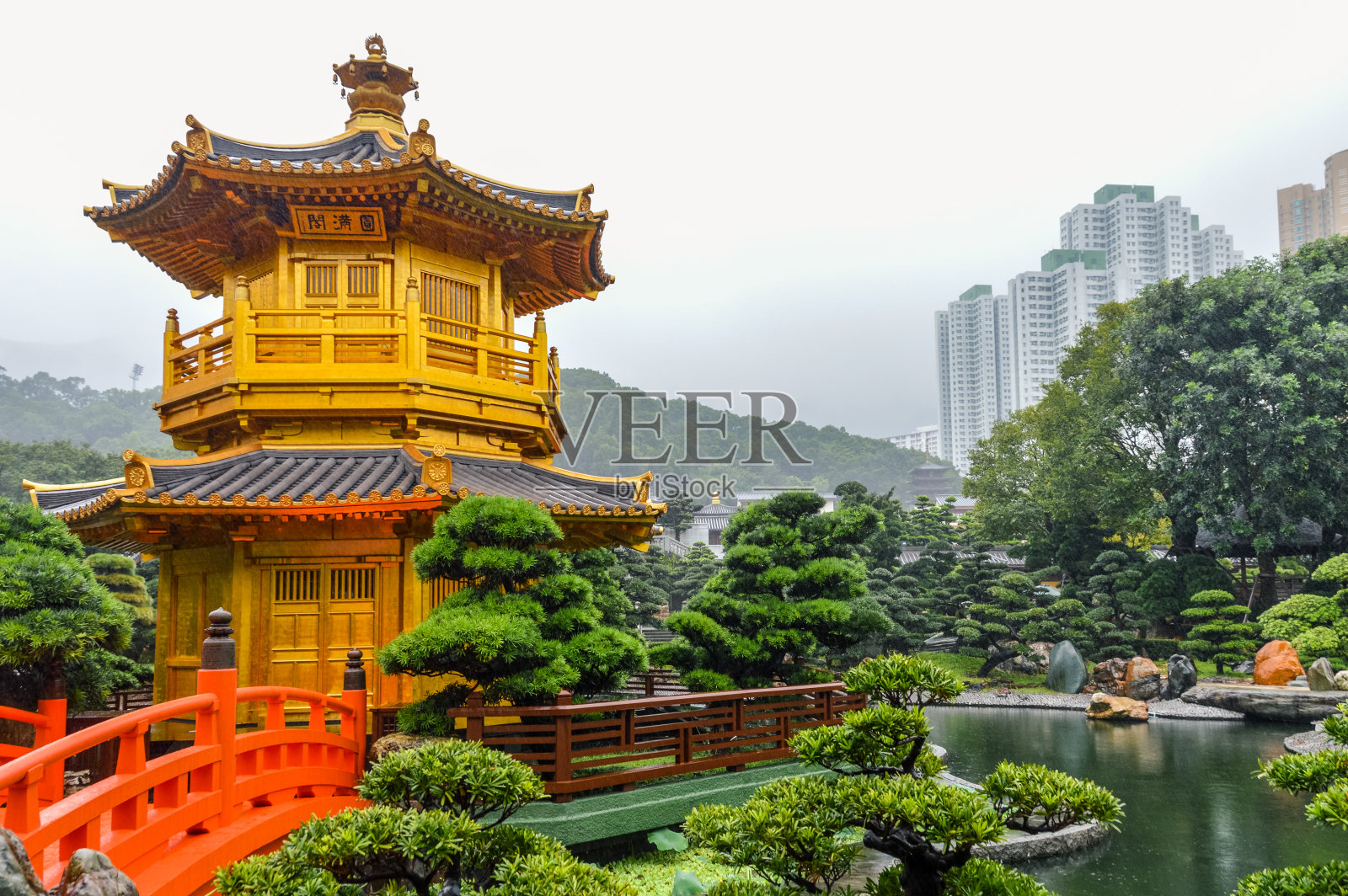 香港的南莲花园照片摄影图片
