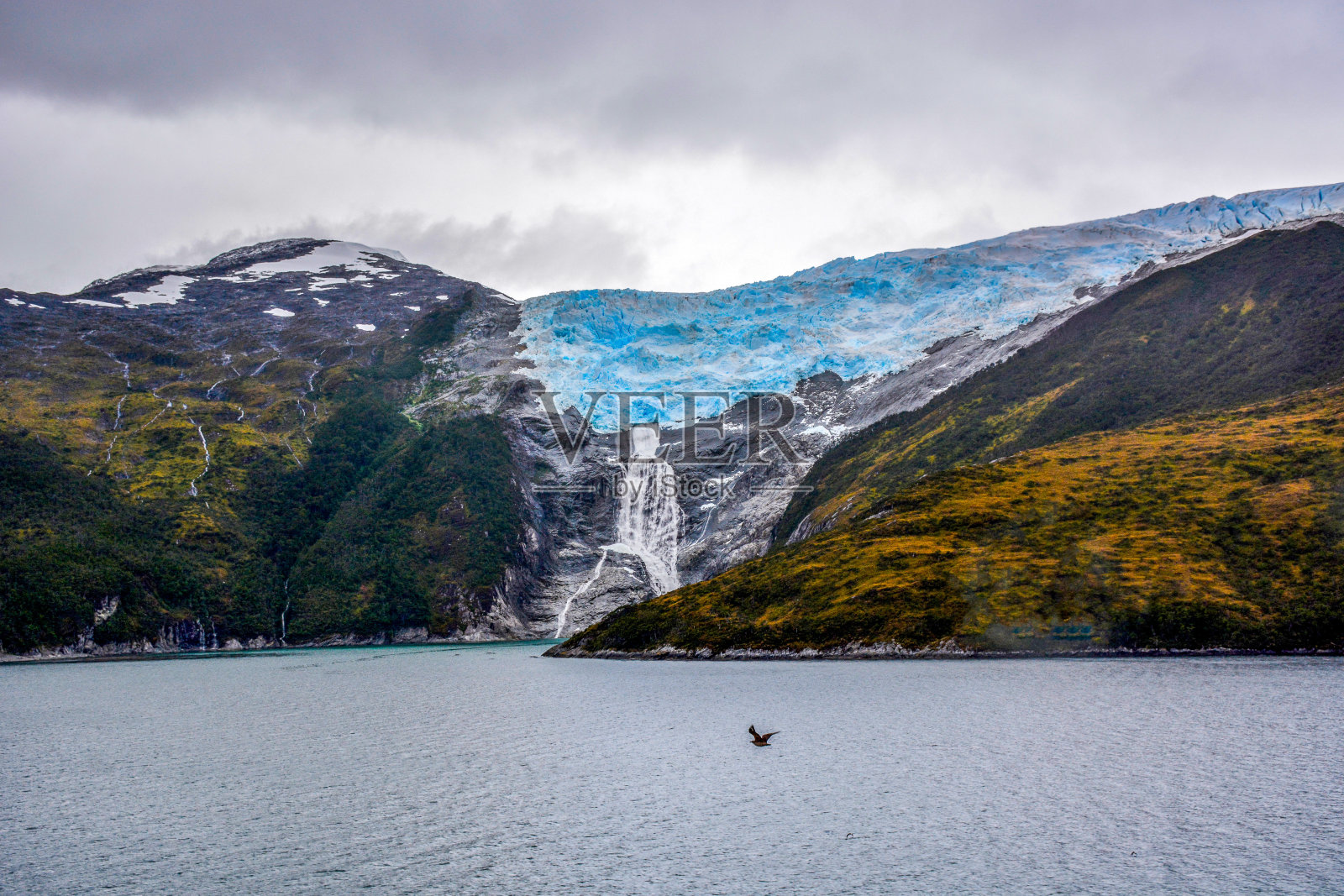 南美洲智利比格尔海峡上的罗曼什冰川照片摄影图片