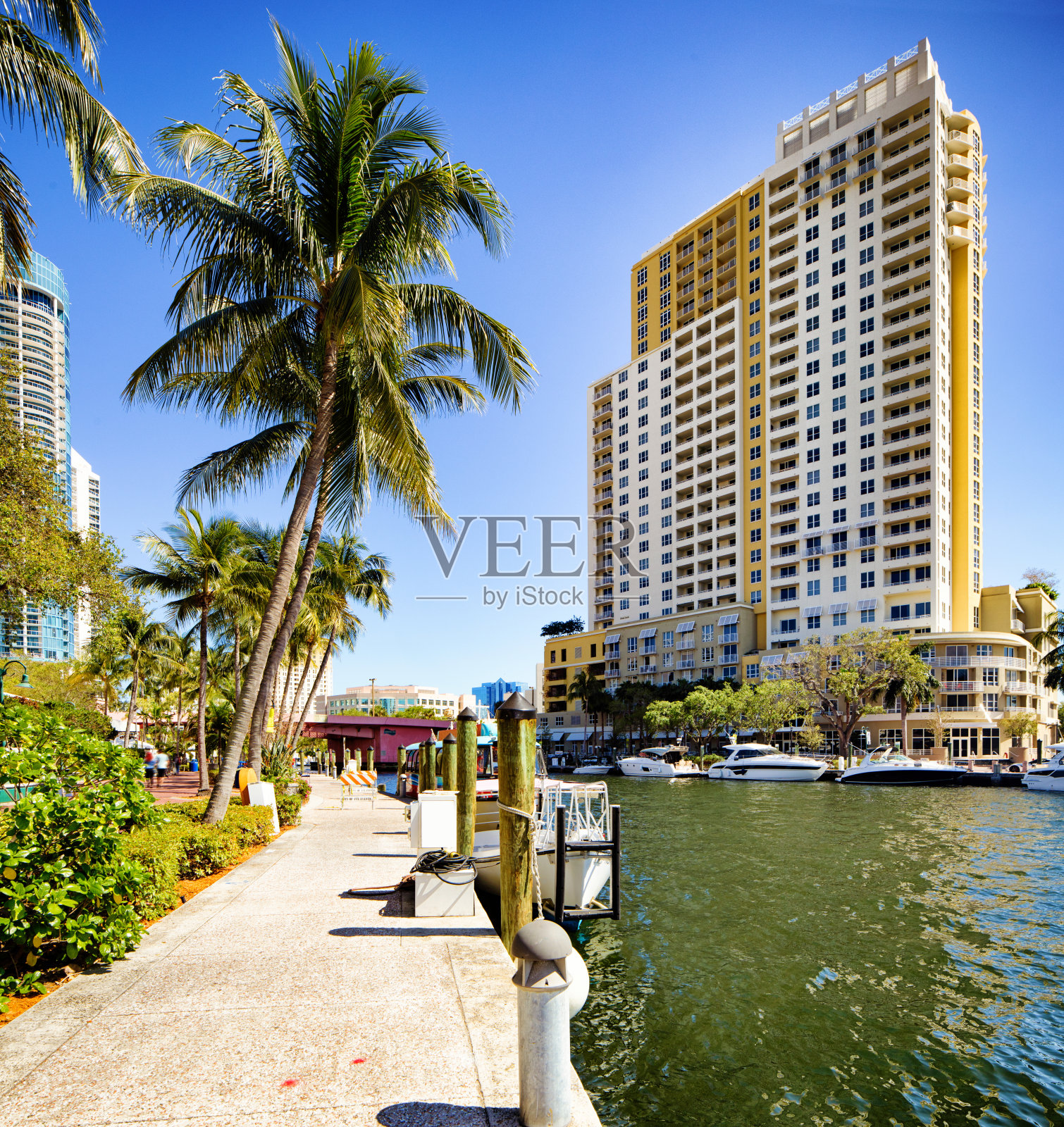 佛罗里达州劳德代尔堡现代公寓楼和棕榈树运河照片摄影图片