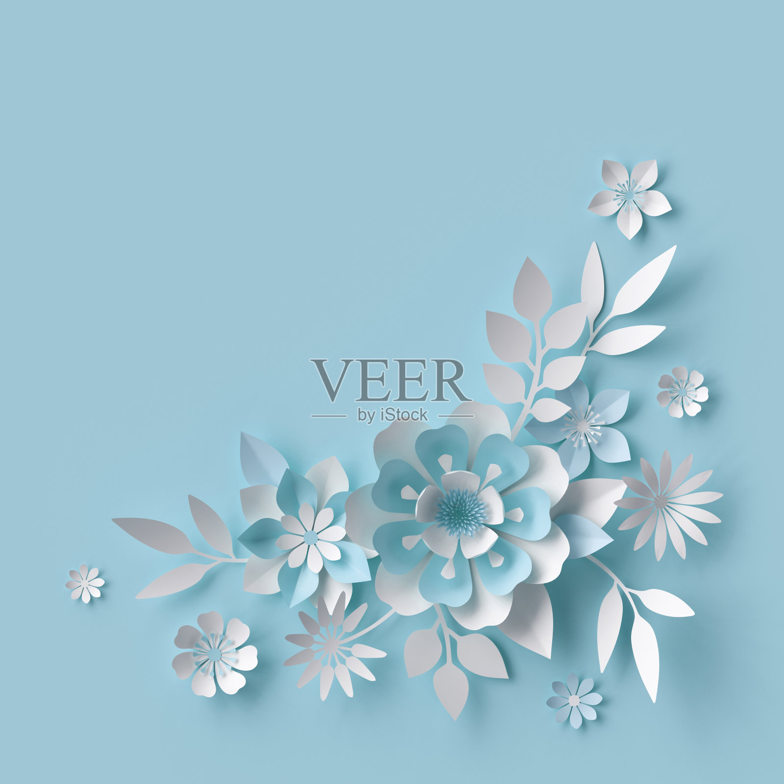 3d渲染，抽象的白纸花，粉彩蓝色背景，花卉装饰照片摄影图片