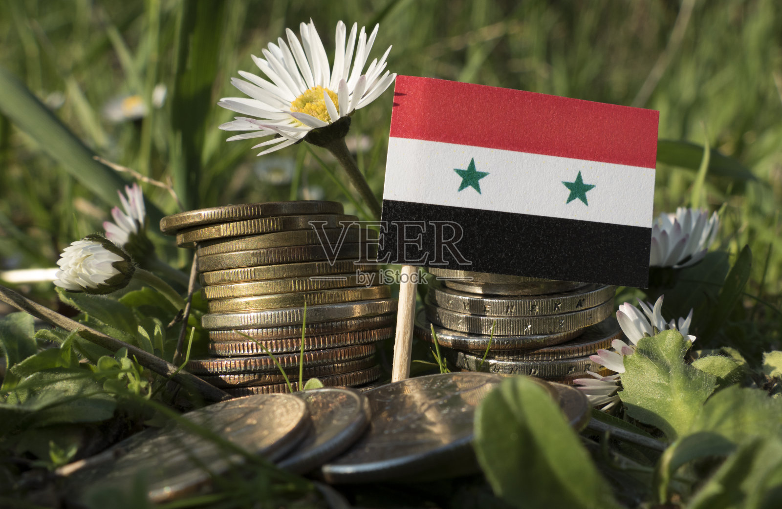 叙利亚国旗与钱堆硬币与草和花照片摄影图片