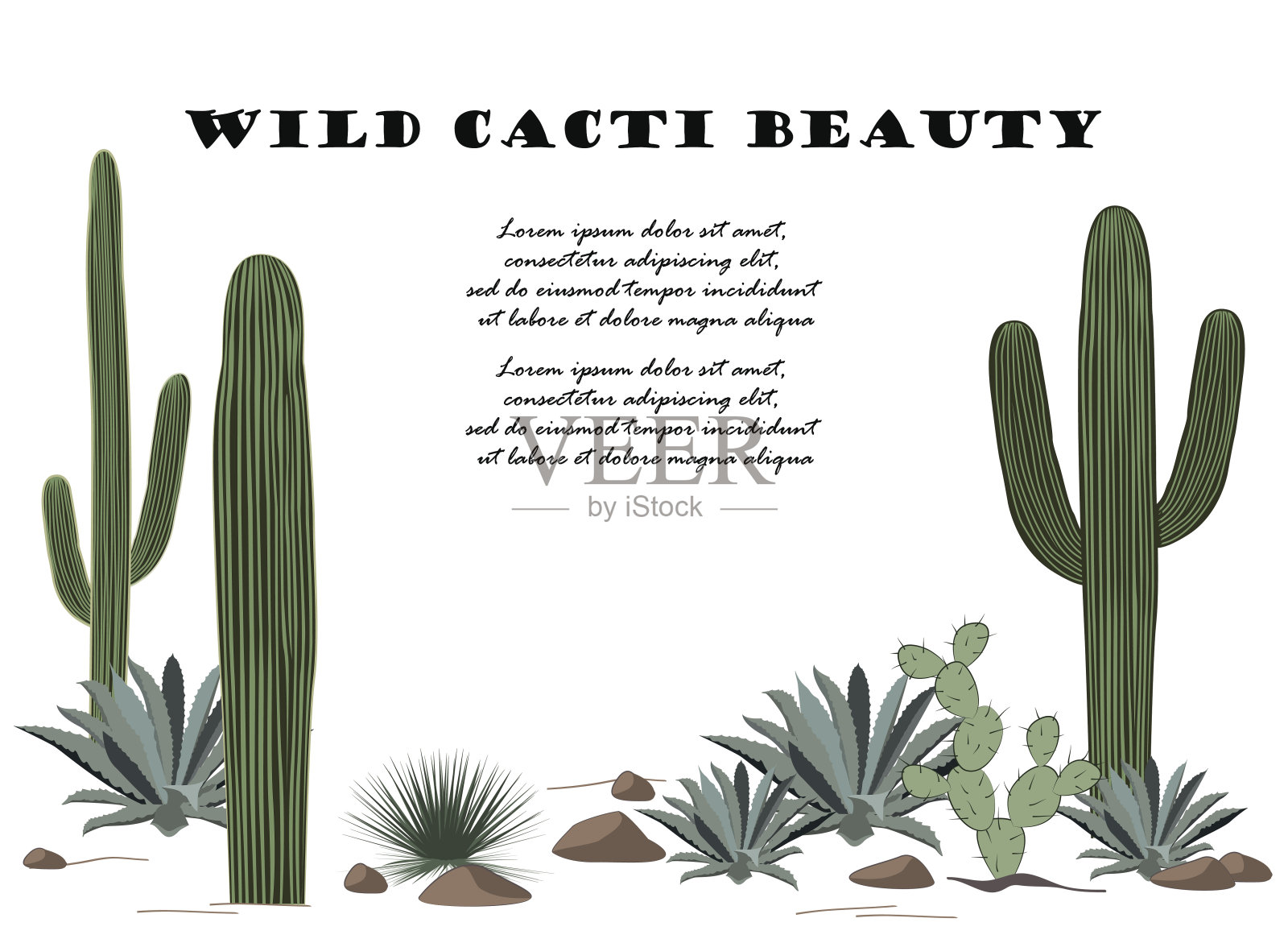 背景与仙人掌和多肉植物设置。沙漠的植物。插画图片素材
