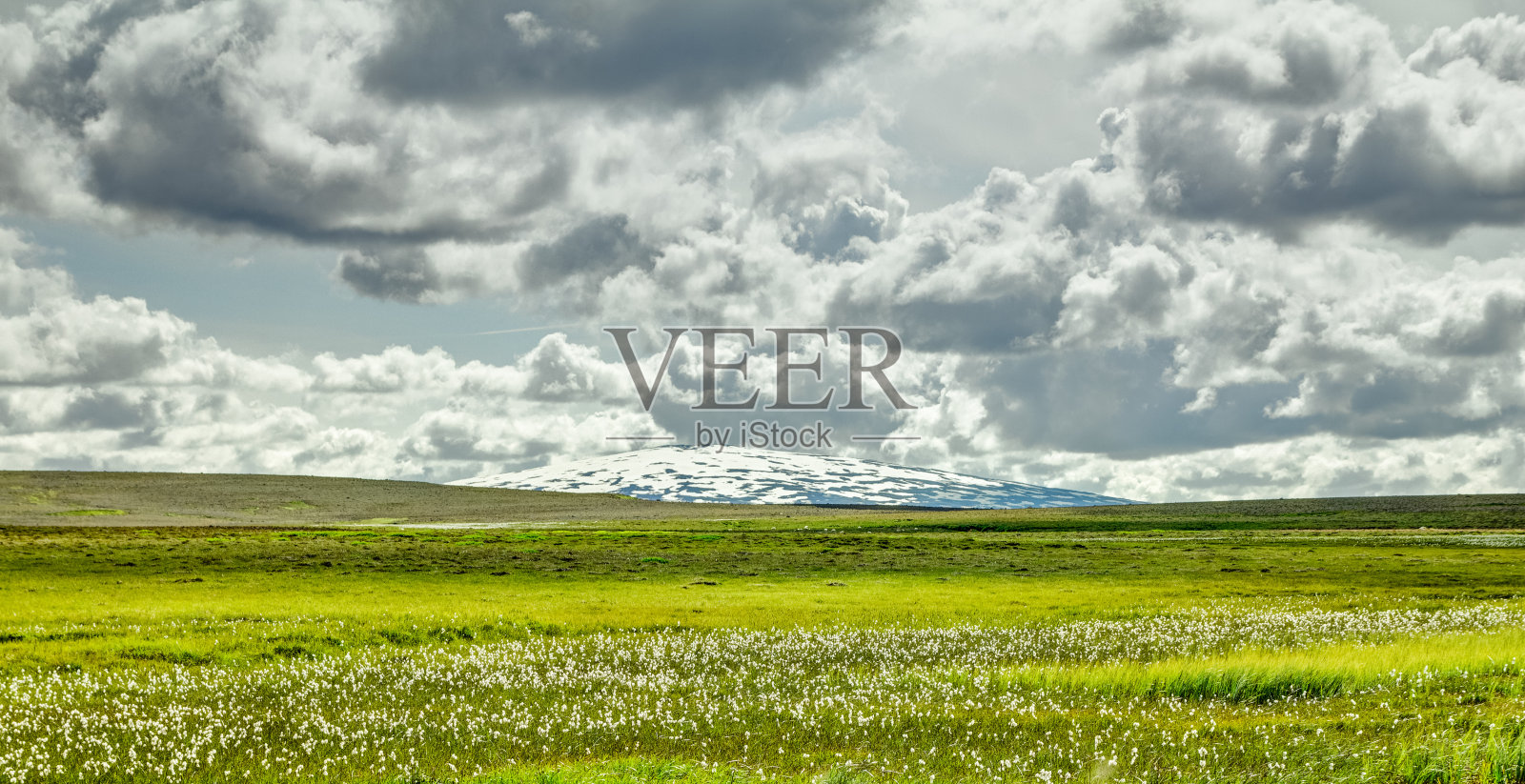 开阔的草原与云景和盾火山的背景。冰岛。照片摄影图片