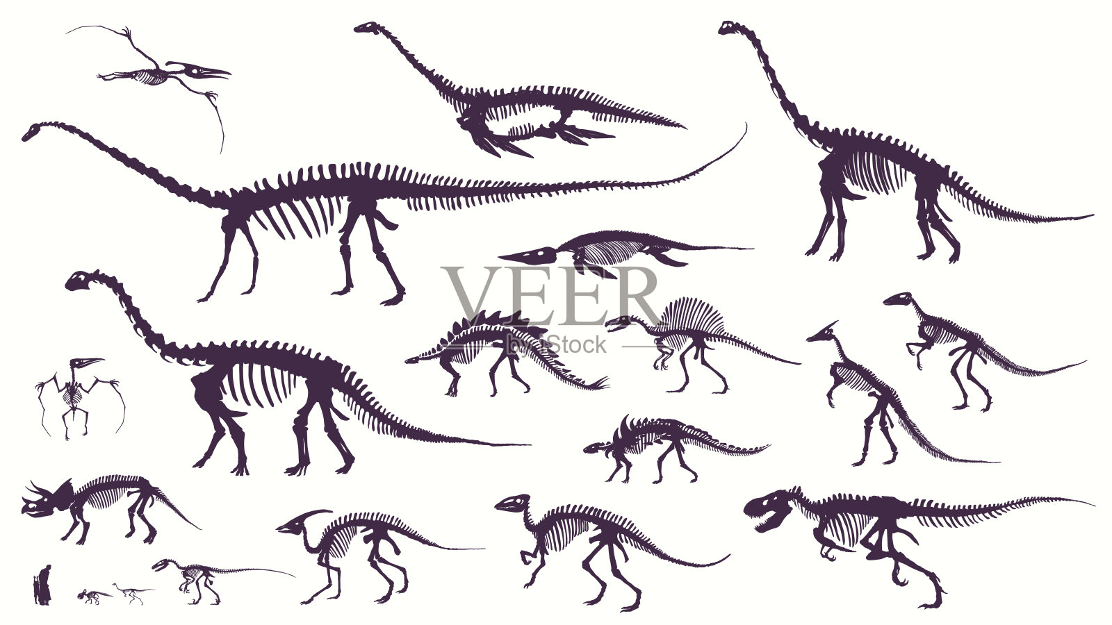 布景，剪影，恐龙骨架，恐龙，化石。插画图片素材