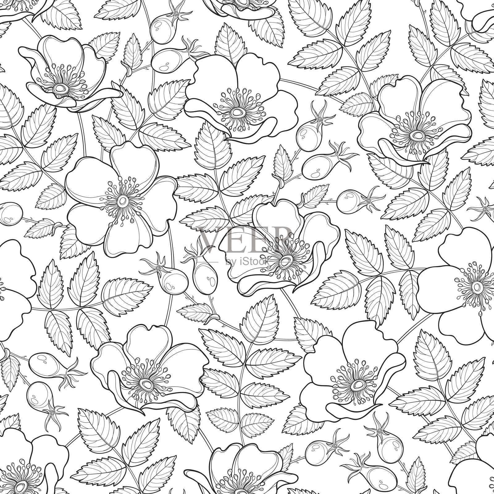 无缝图案与玫瑰，花和叶在白色的背景。插画图片素材