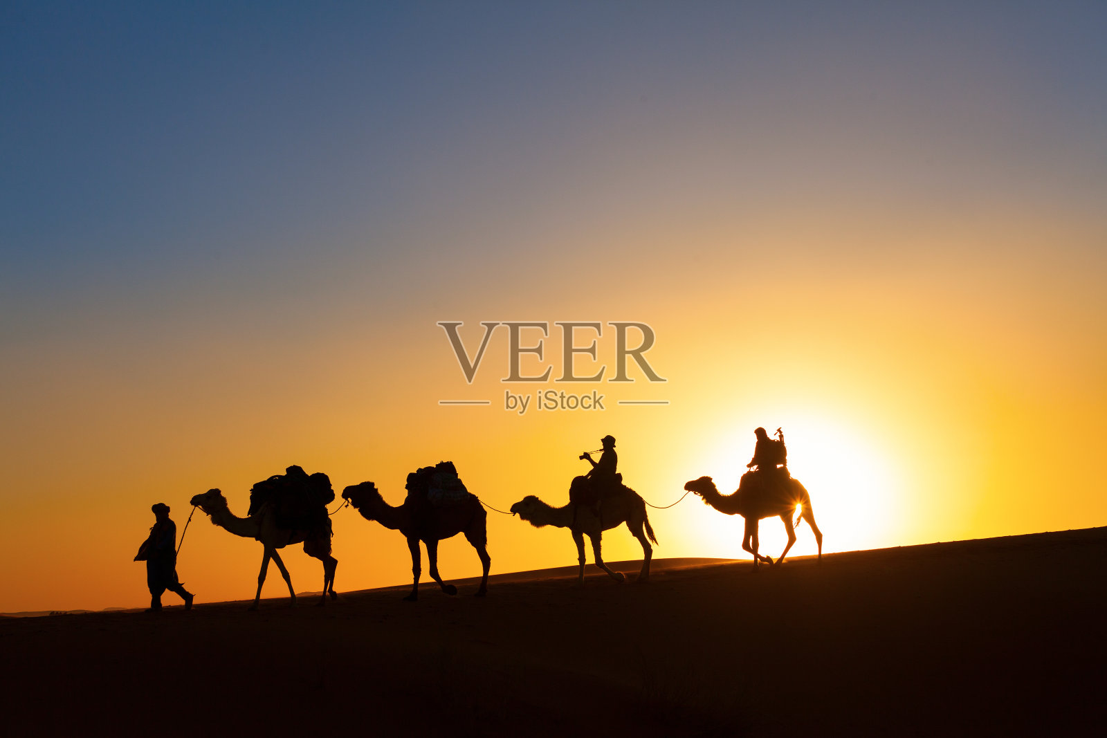骆驼商队正在穿越沙漠照片摄影图片