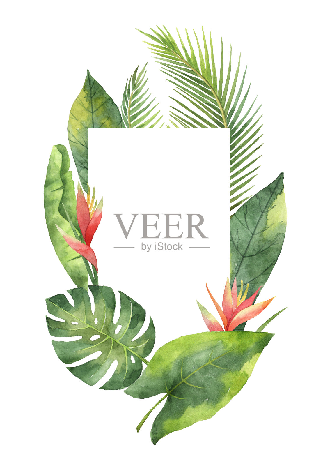 水彩矩形框架热带树叶和树枝孤立在白色的背景。插画图片素材
